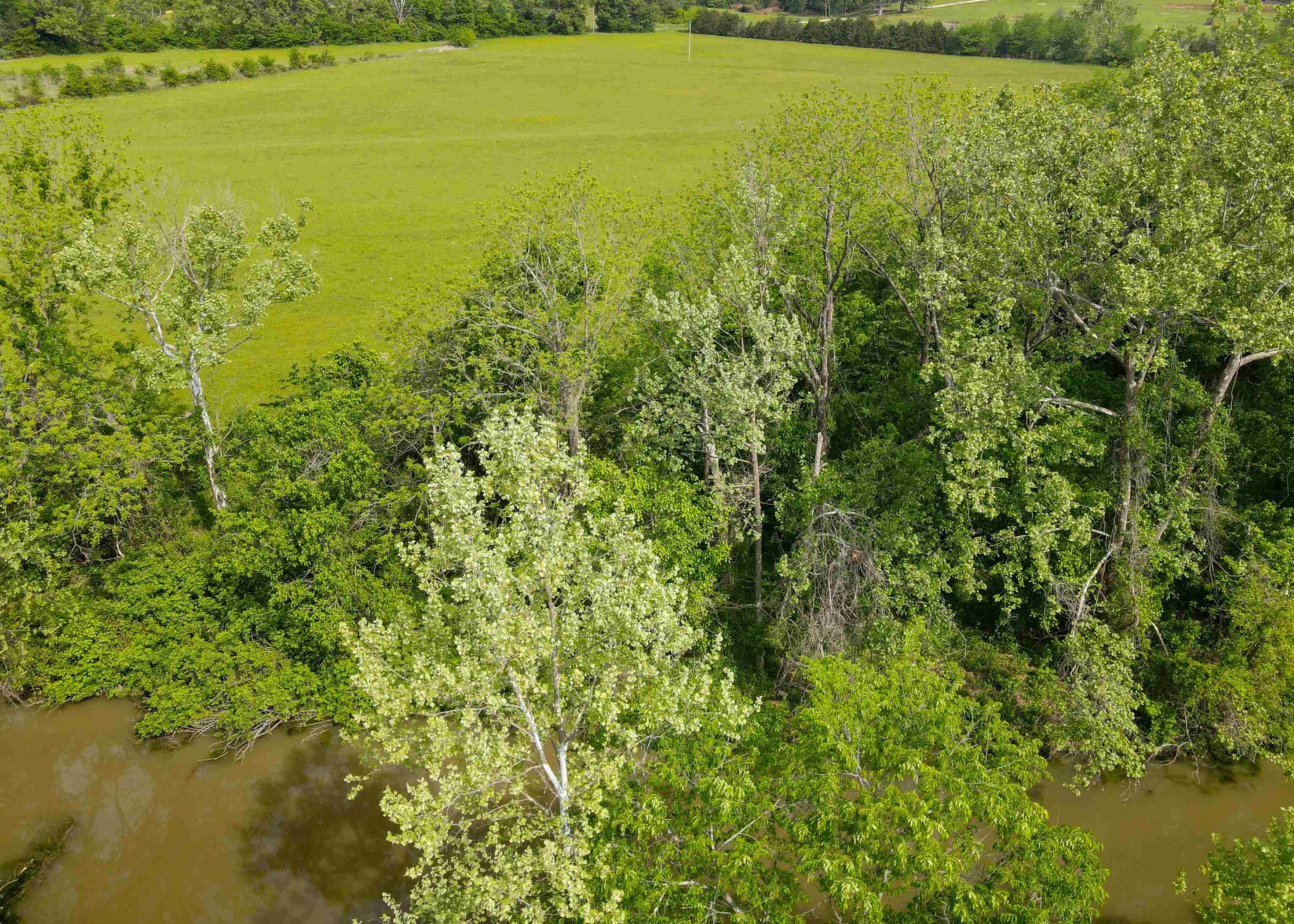Photo 14 - Vacant Land for sale – TBD  Morriston Rd   Salem, AR