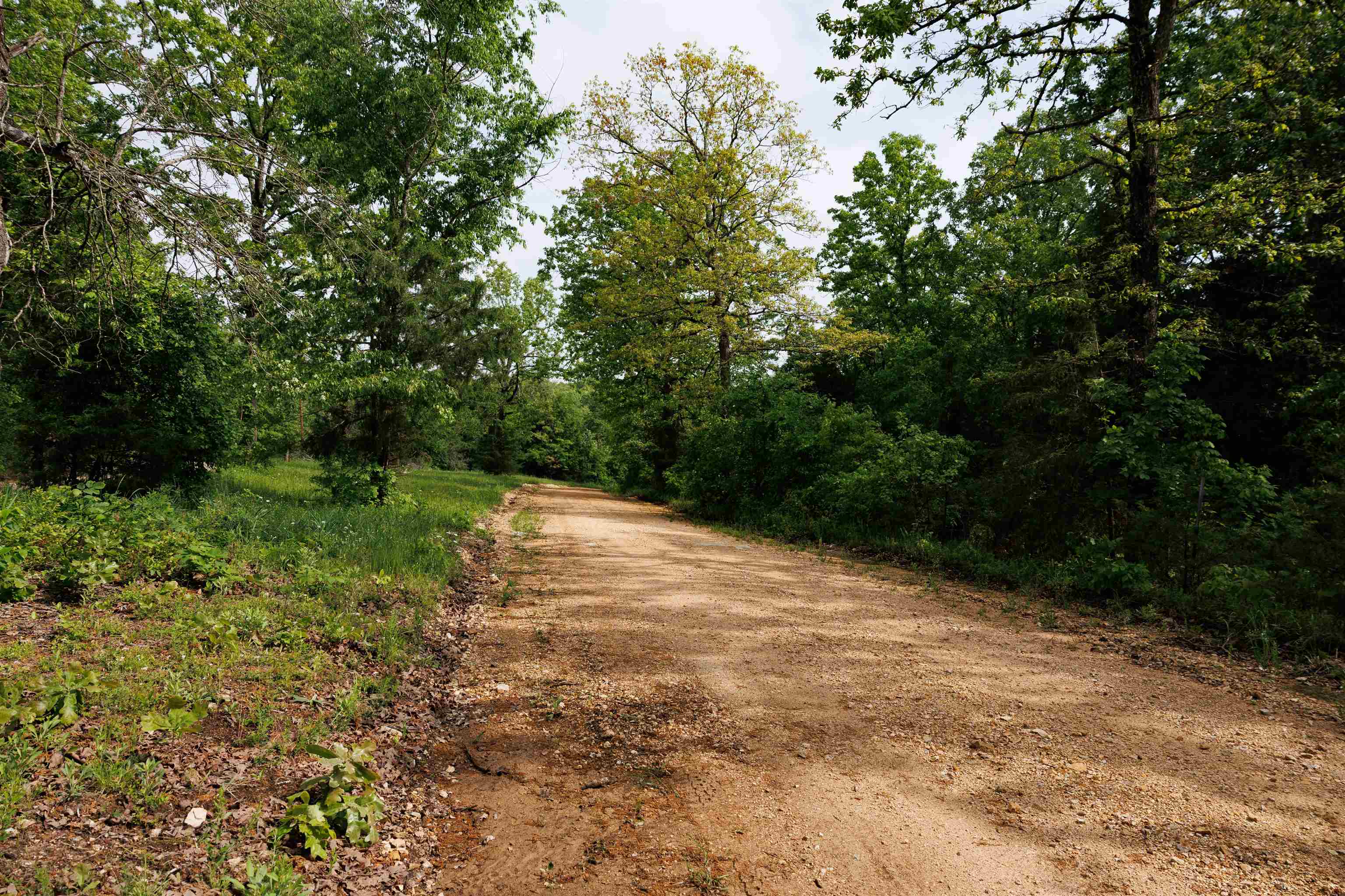 Photo 16 - Vacant Land for sale – TBD  Morriston Rd   Salem, AR