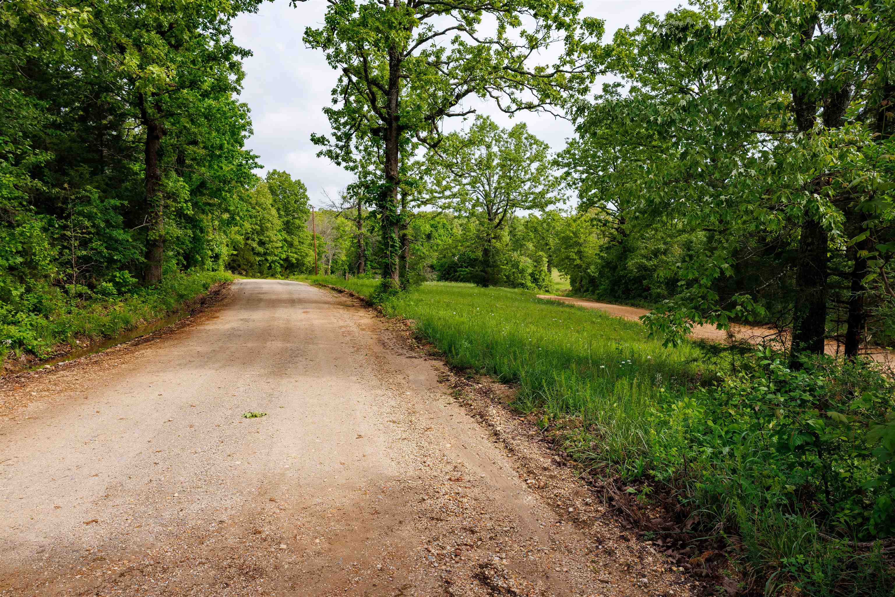 Photo 17 - Vacant Land for sale – TBD  Morriston Rd   Salem, AR