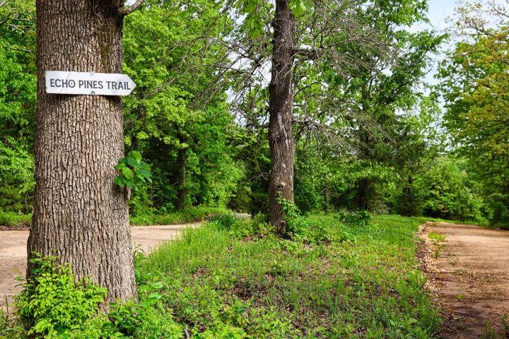 Photo 18 - Vacant Land for sale – TBD  Morriston Rd   Salem, AR