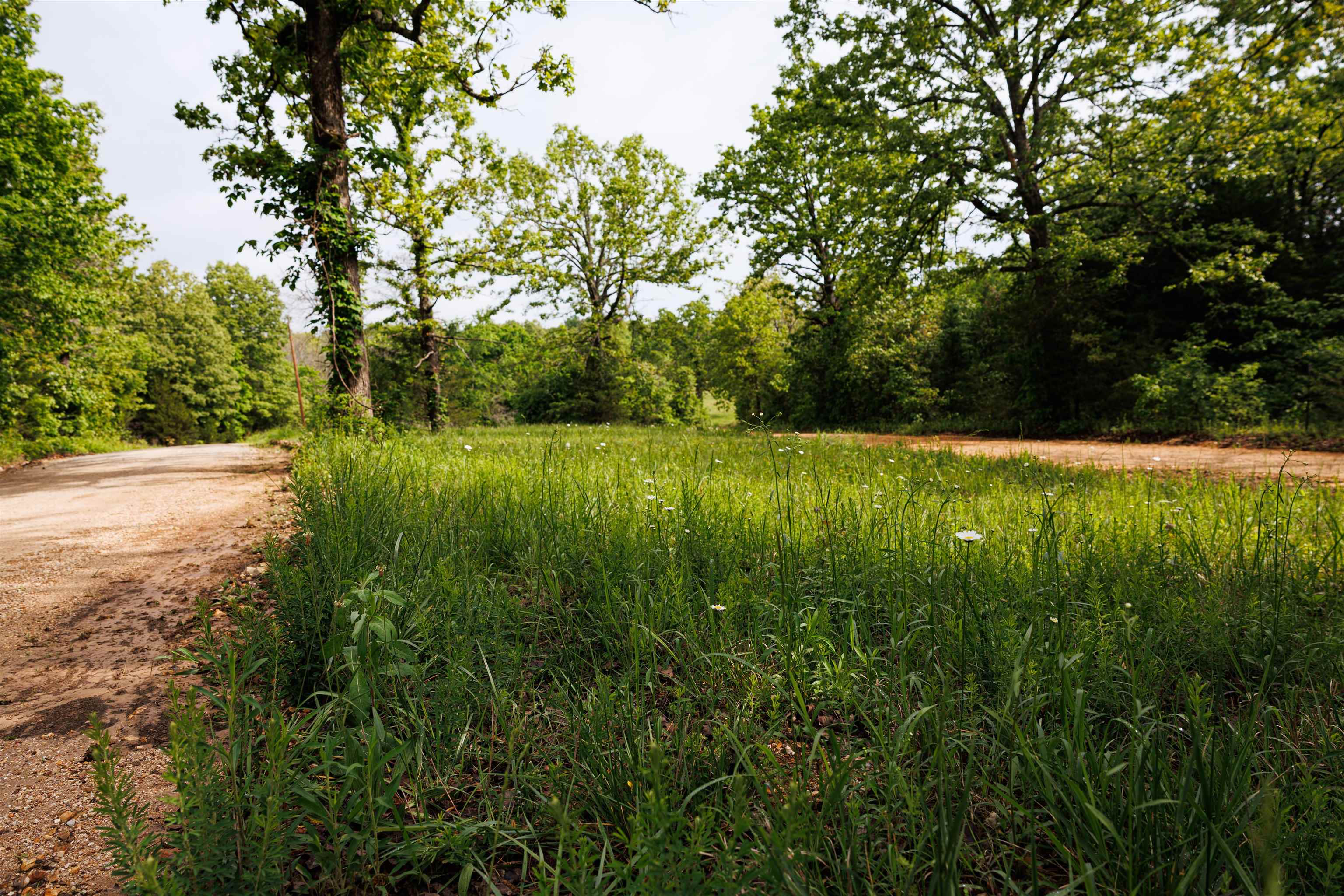 Photo 19 - Vacant Land for sale – TBD  Morriston Rd   Salem, AR