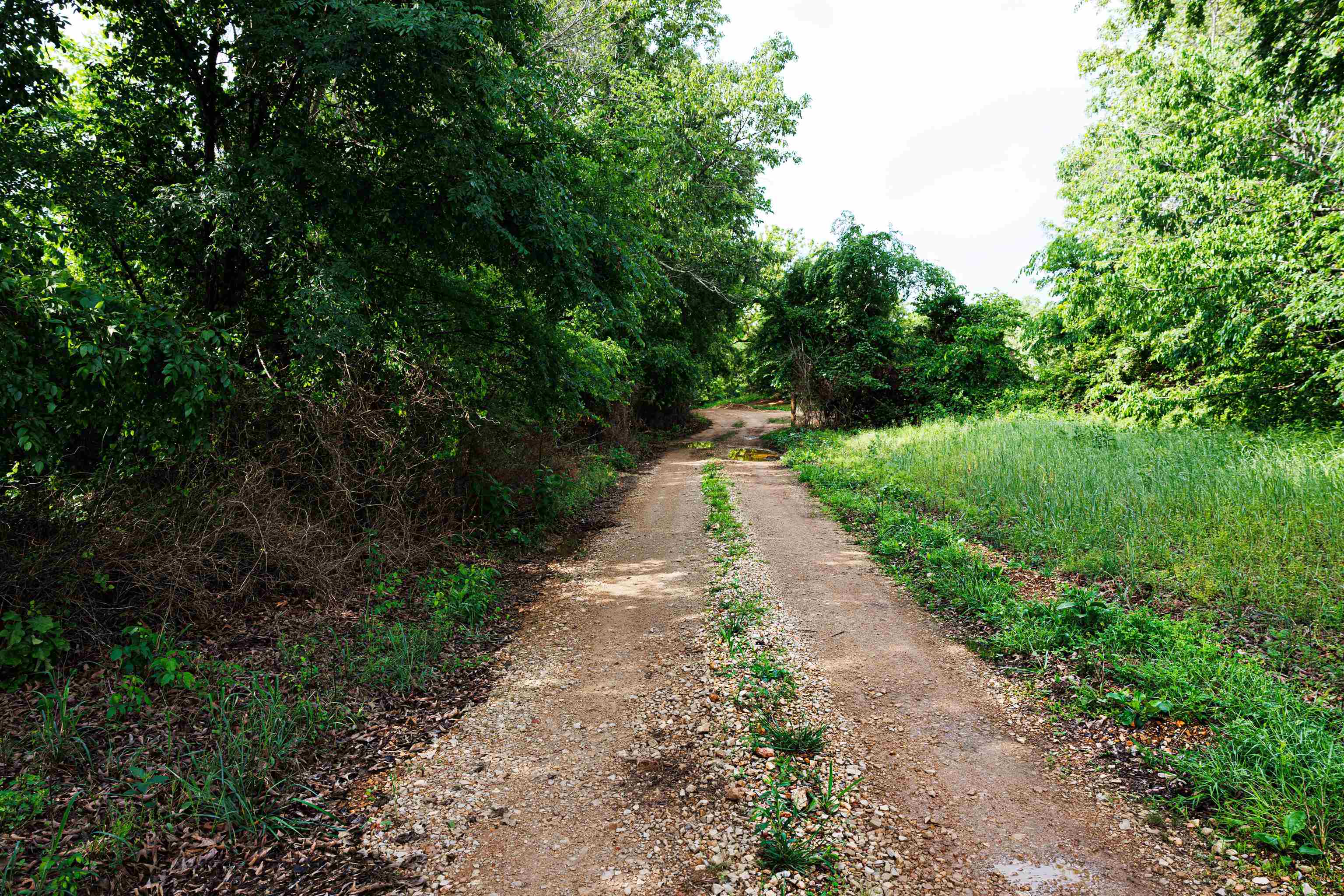 Photo 20 - Vacant Land for sale – TBD  Morriston Rd   Salem, AR
