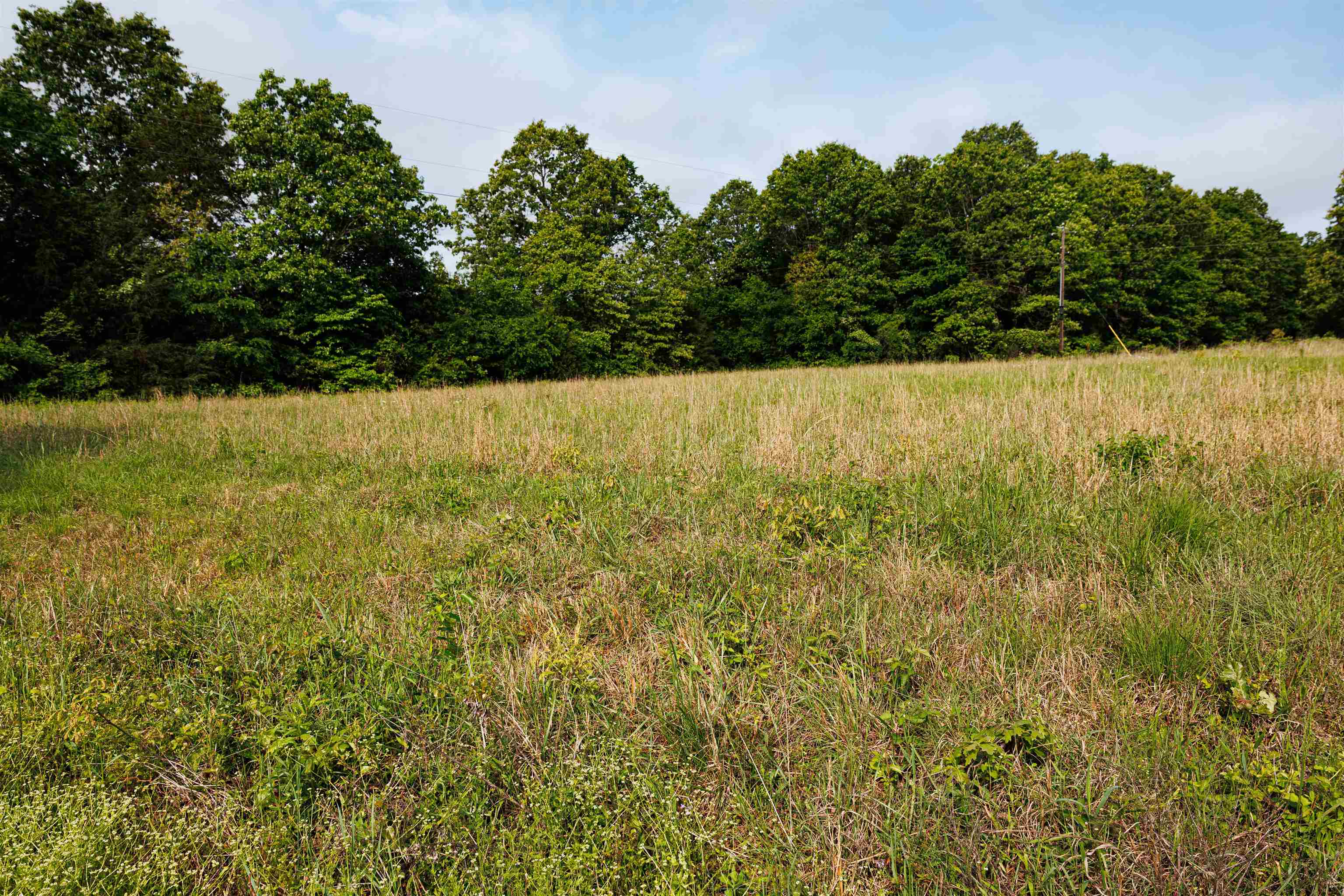 Photo 21 - Vacant Land for sale – TBD  Morriston Rd   Salem, AR