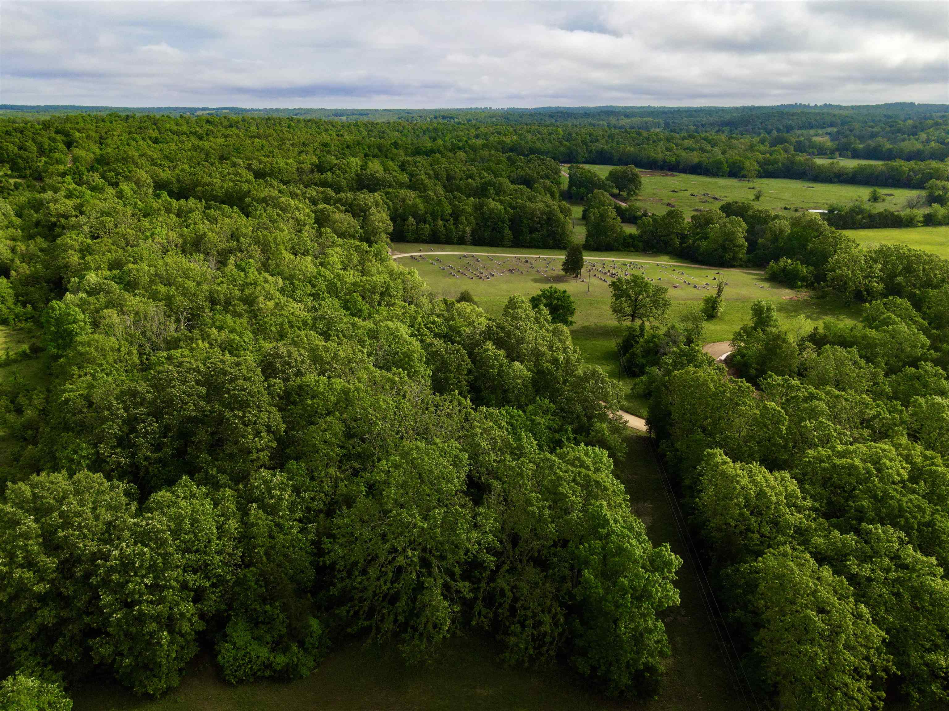 Photo 25 - Vacant Land for sale – TBD  Morriston Rd   Salem, AR