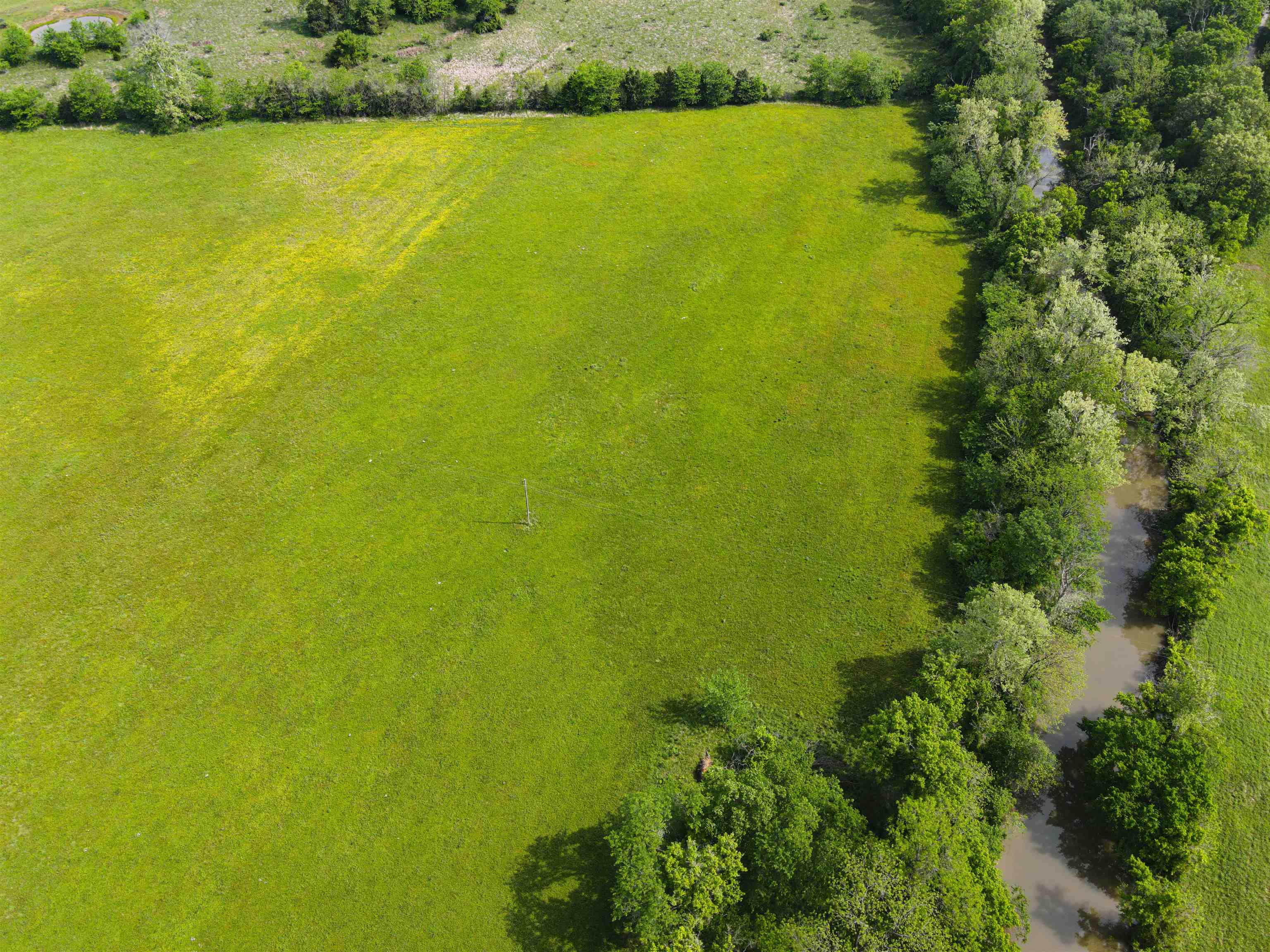 Photo 26 - Vacant Land for sale – TBD  Morriston Rd   Salem, AR