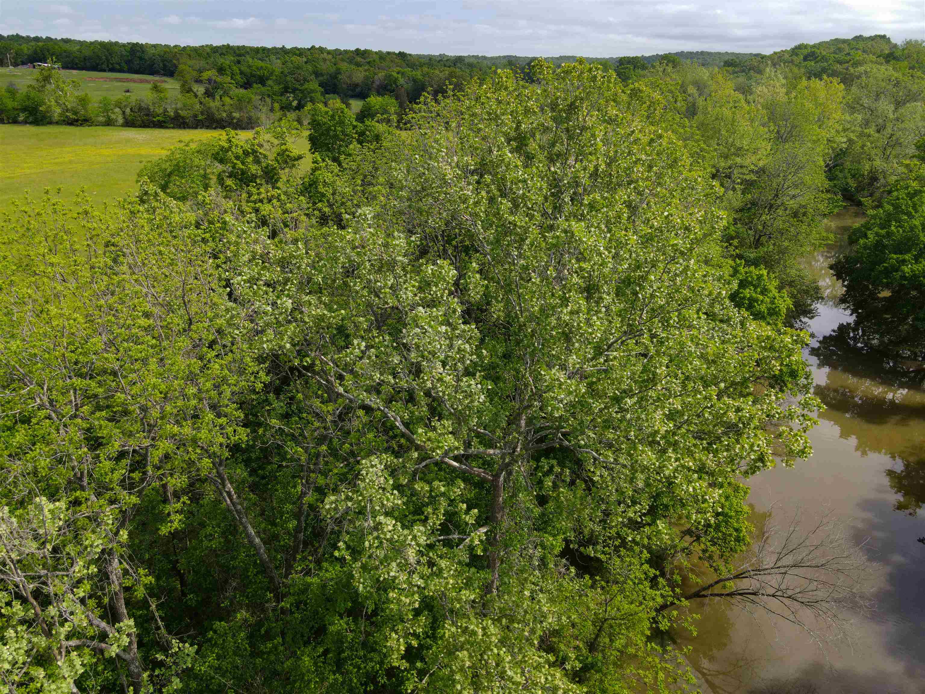Photo 8 - Vacant Land for sale – TBD  Morriston Rd   Salem, AR