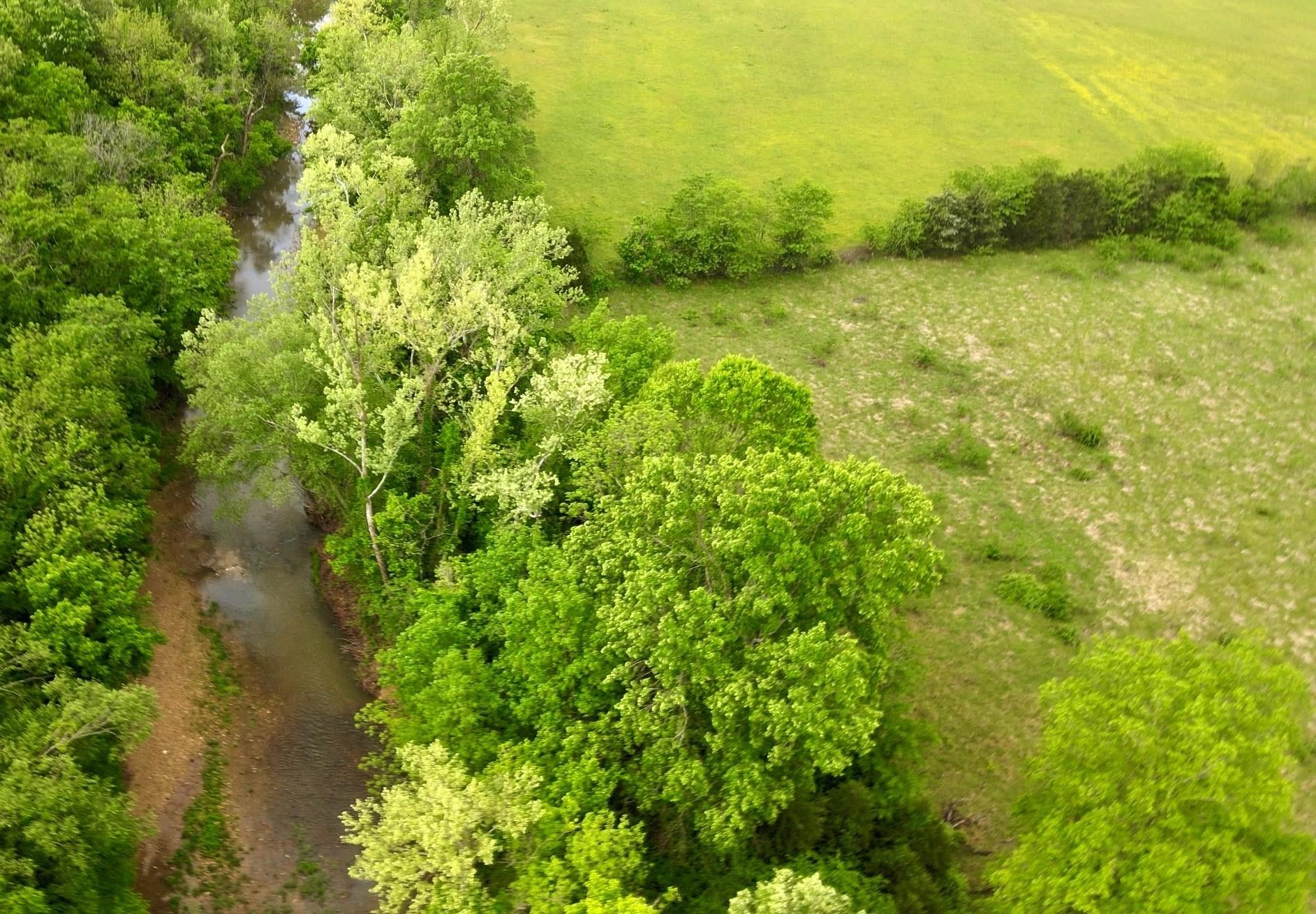 Photo 9 - Vacant Land for sale – TBD  Morriston Rd   Salem, AR