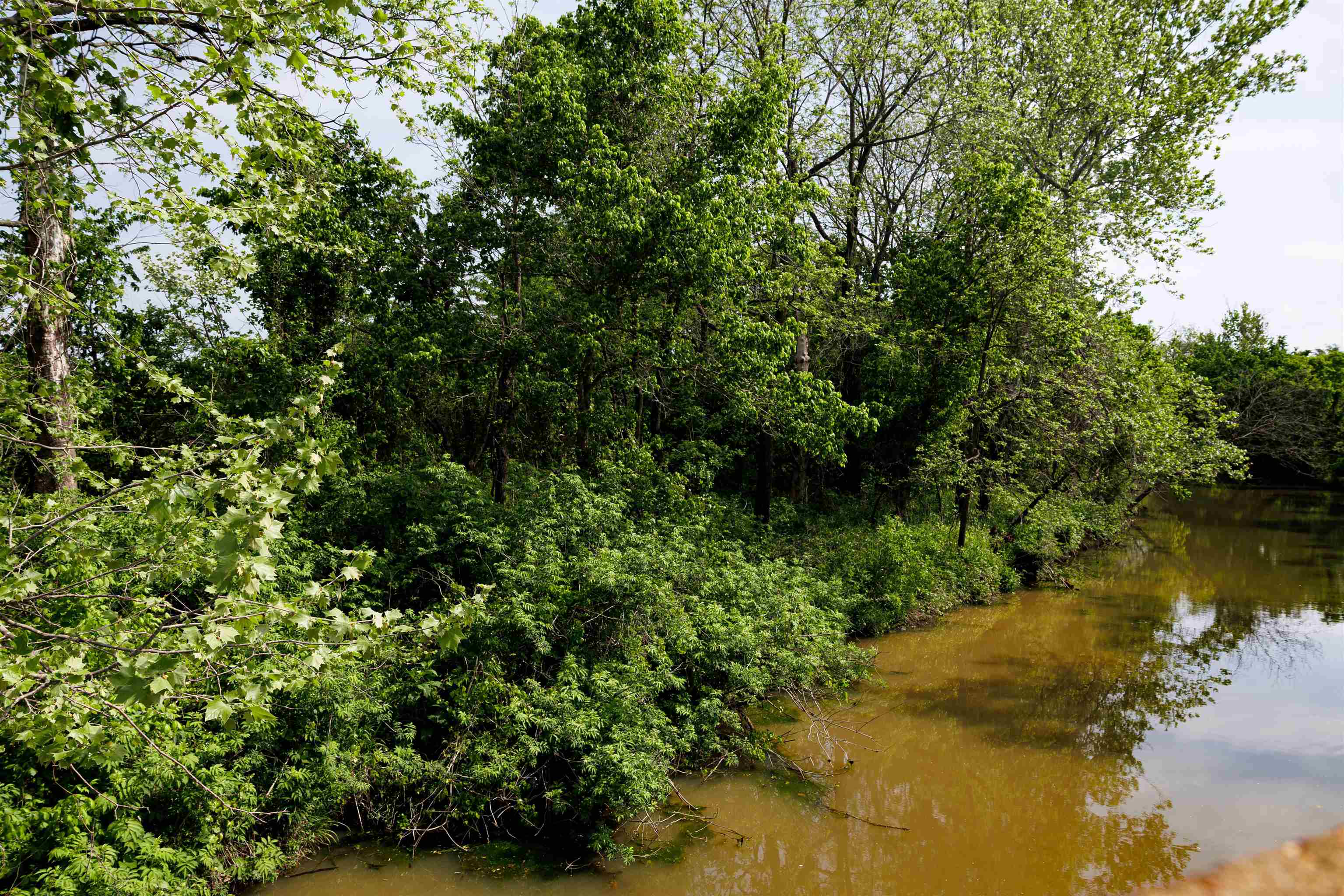 Photo 10 - Vacant Land for sale – TBD  Morriston Rd   Salem, AR