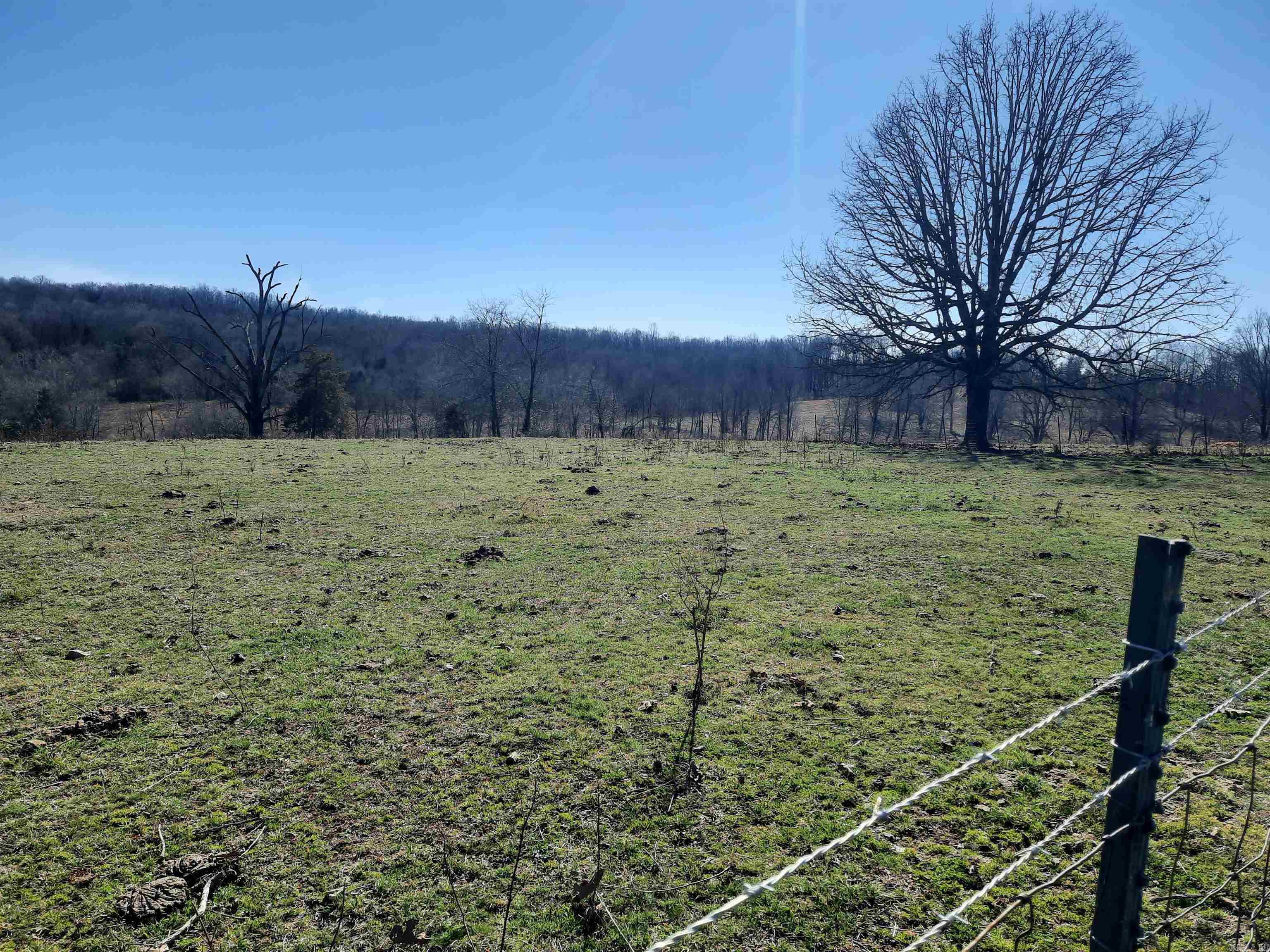 Vacant Land for sale – 000  Robinson   Mammoth Spring, AR