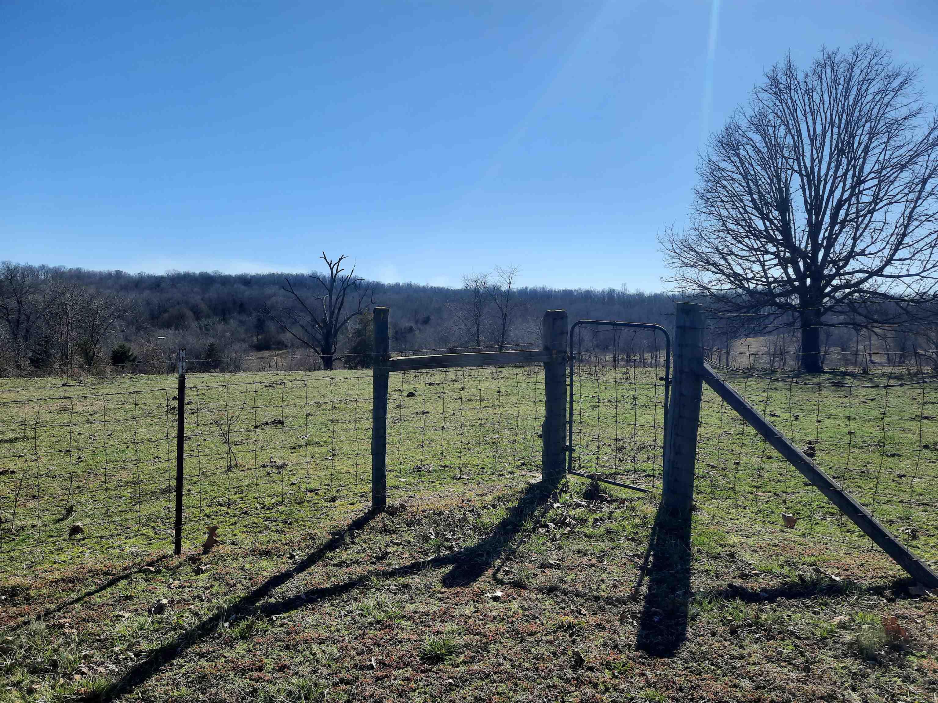 Photo 2 - Vacant Land for sale – 000  Robinson   Mammoth Spring, AR