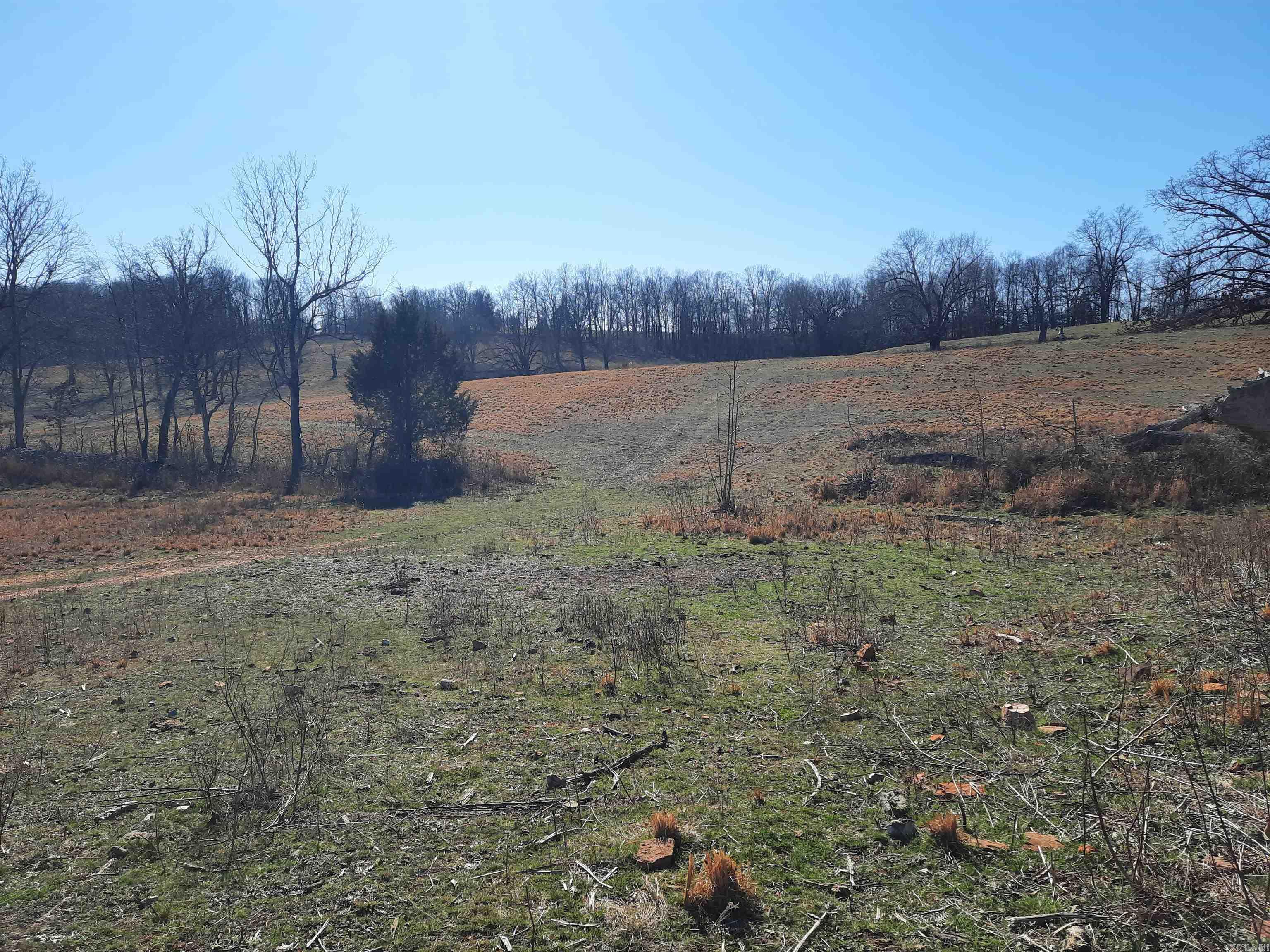 Photo 11 - Vacant Land for sale – 000  Robinson   Mammoth Spring, AR