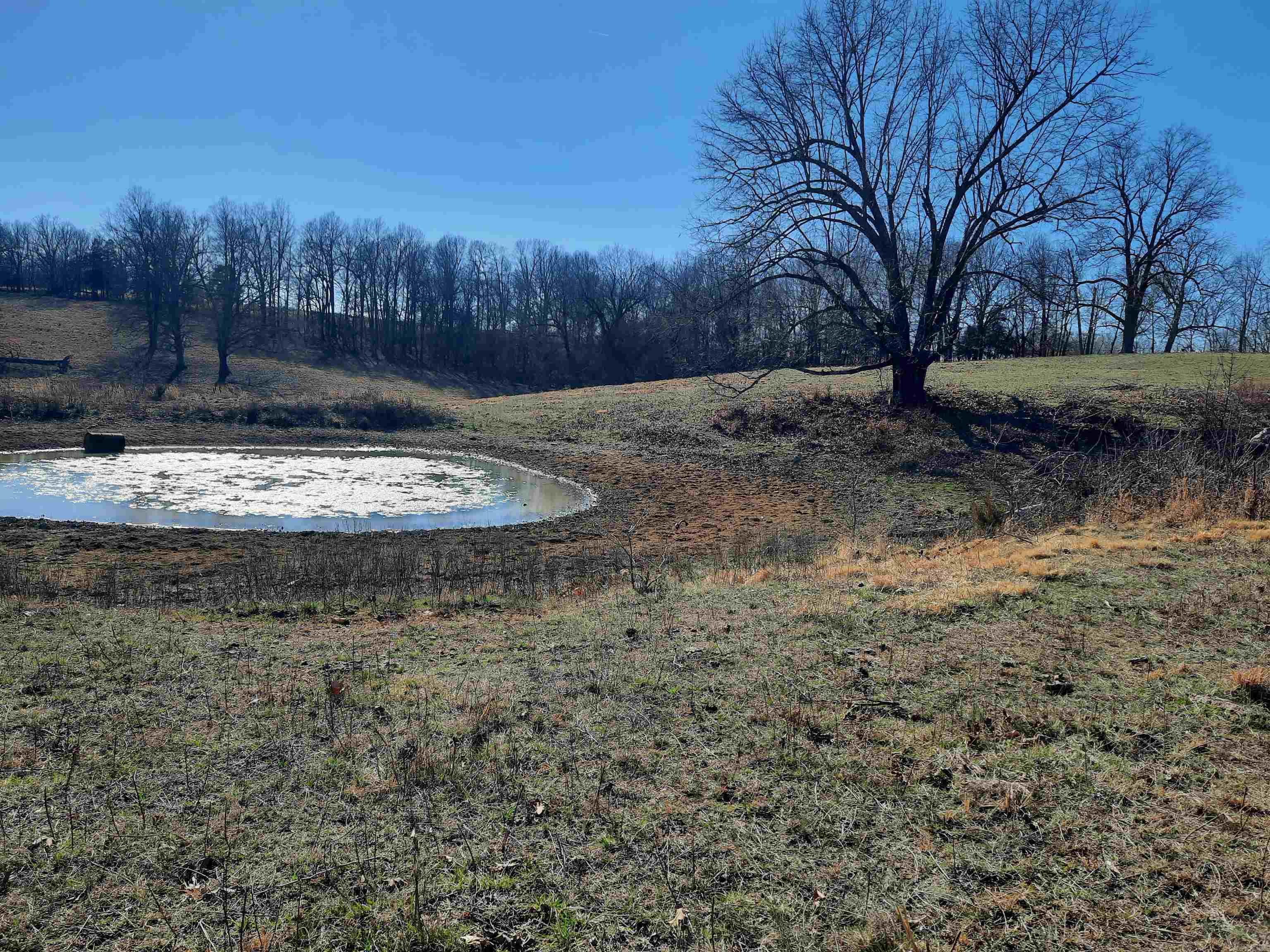 Photo 12 - Vacant Land for sale – 000  Robinson   Mammoth Spring, AR