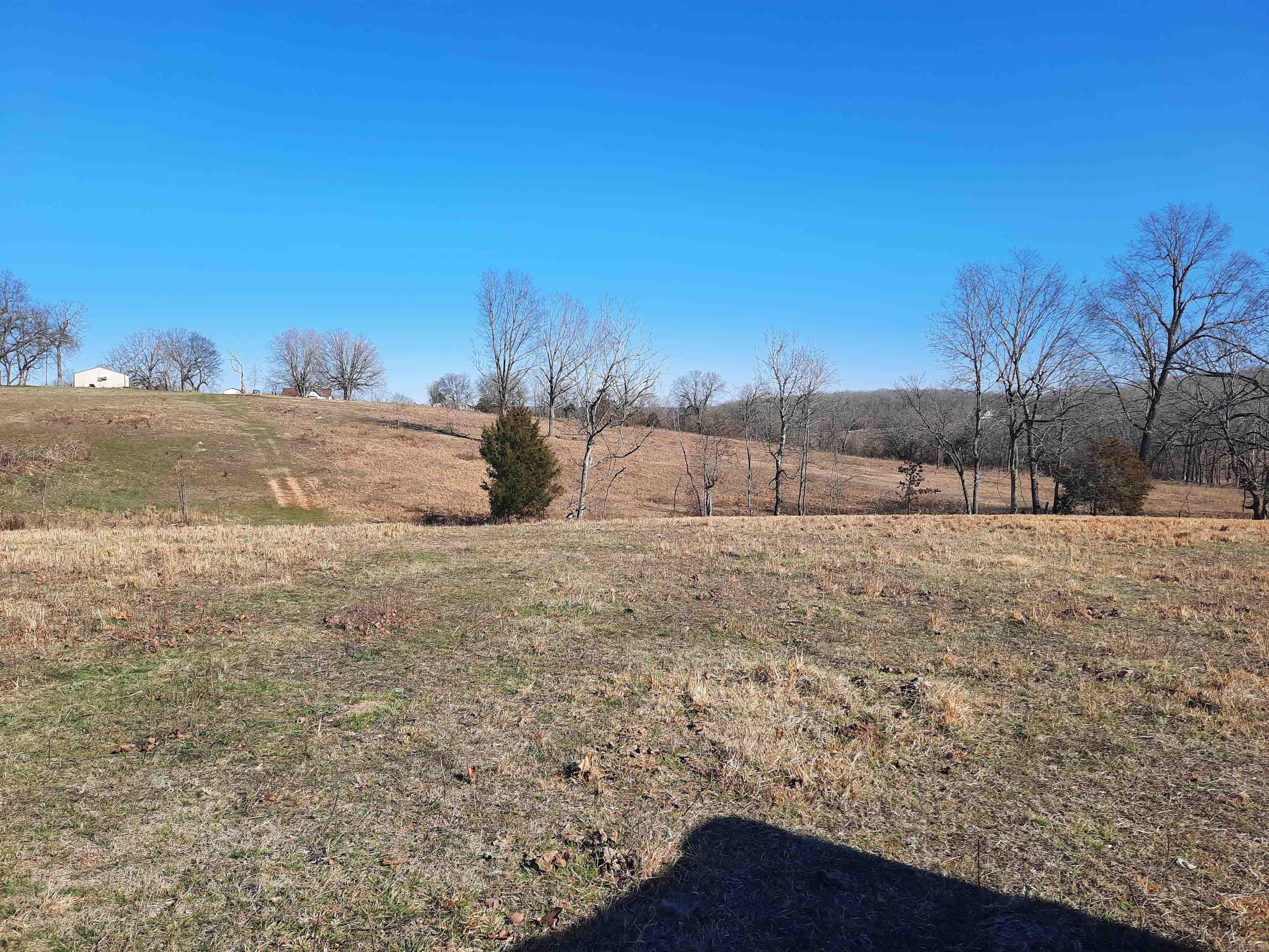 Photo 13 - Vacant Land for sale – 000  Robinson   Mammoth Spring, AR