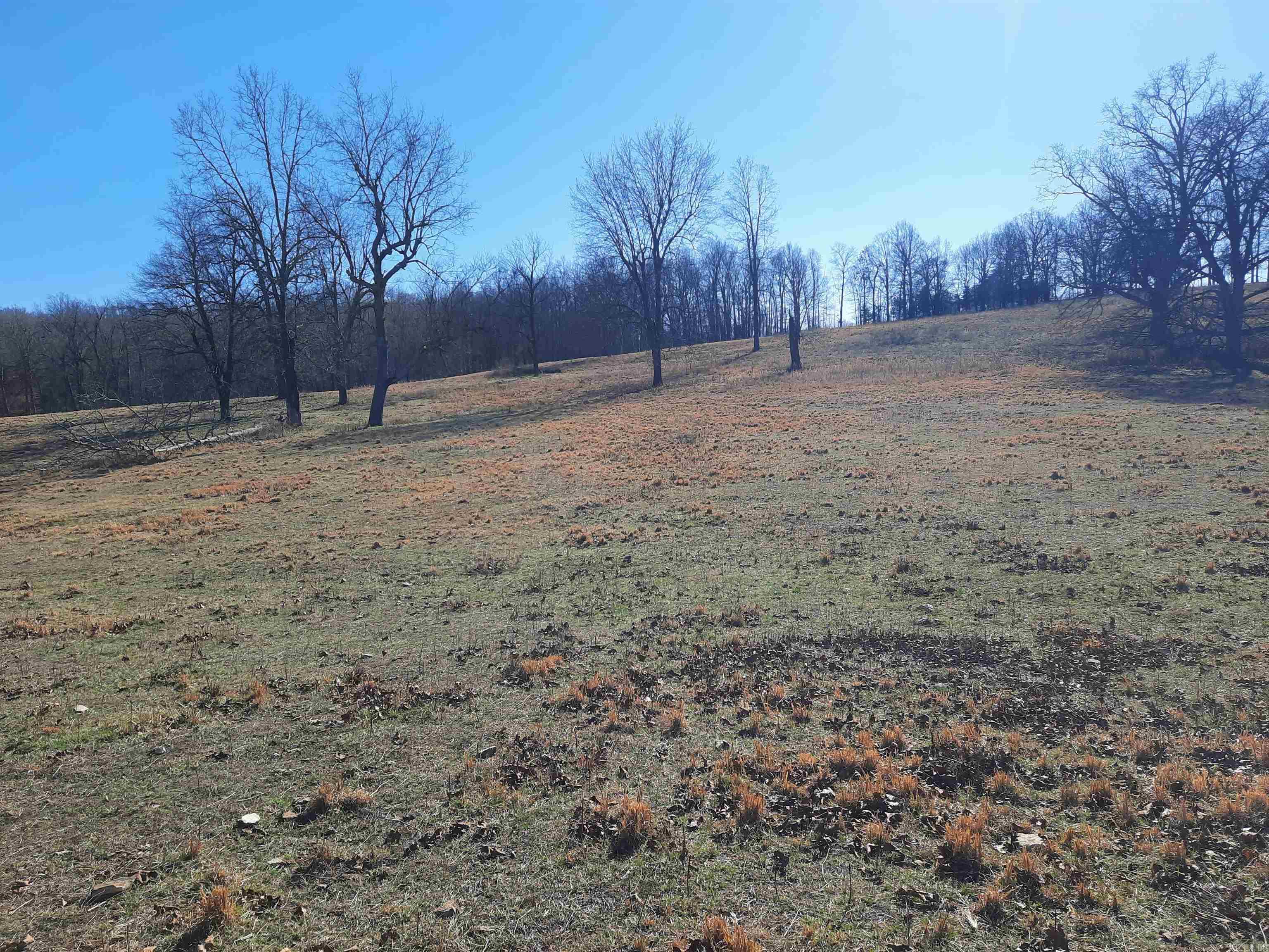 Photo 15 - Vacant Land for sale – 000  Robinson   Mammoth Spring, AR