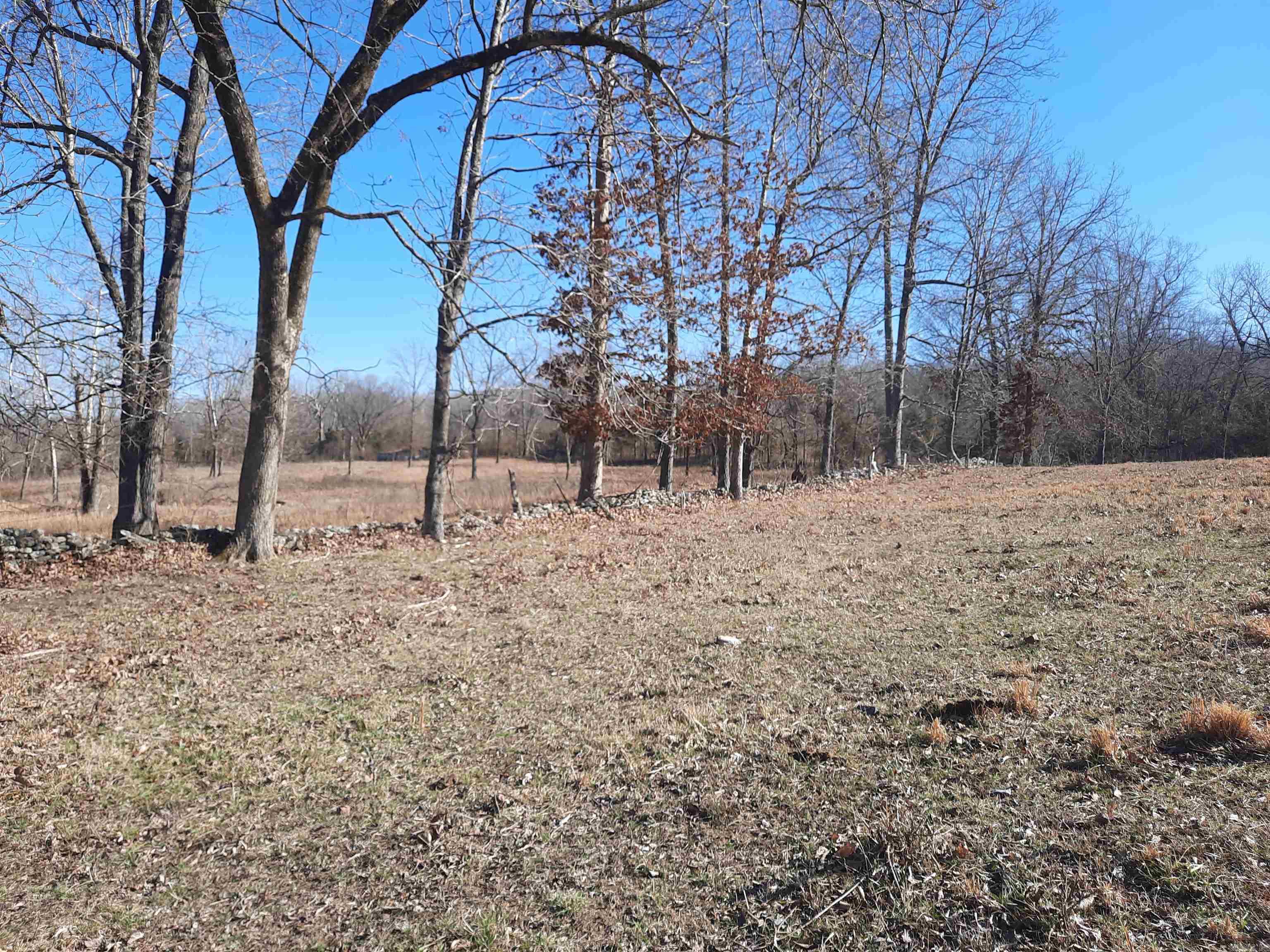 Photo 16 - Vacant Land for sale – 000  Robinson   Mammoth Spring, AR