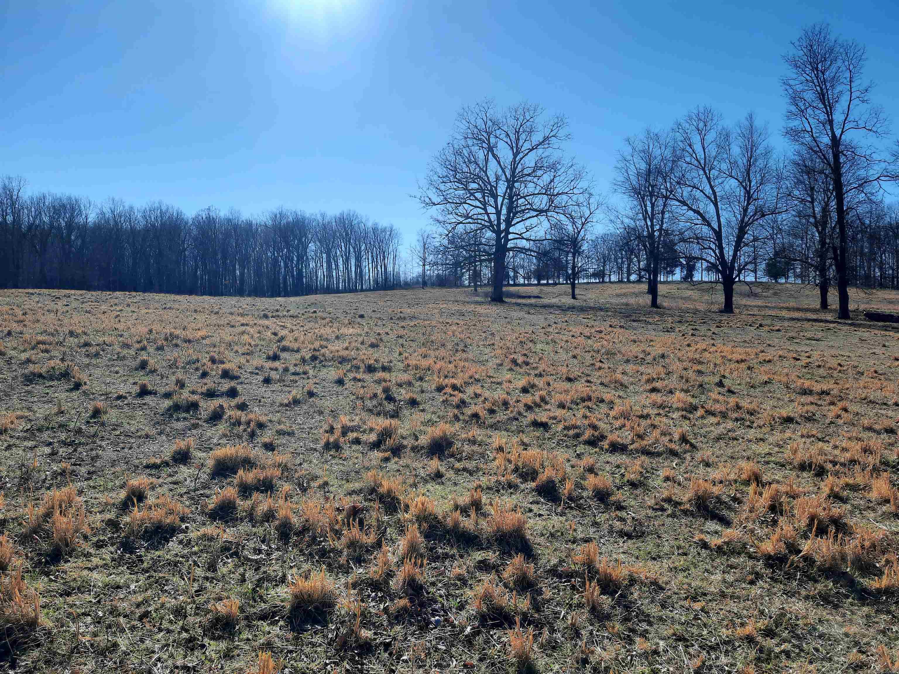 Photo 17 - Vacant Land for sale – 000  Robinson   Mammoth Spring, AR