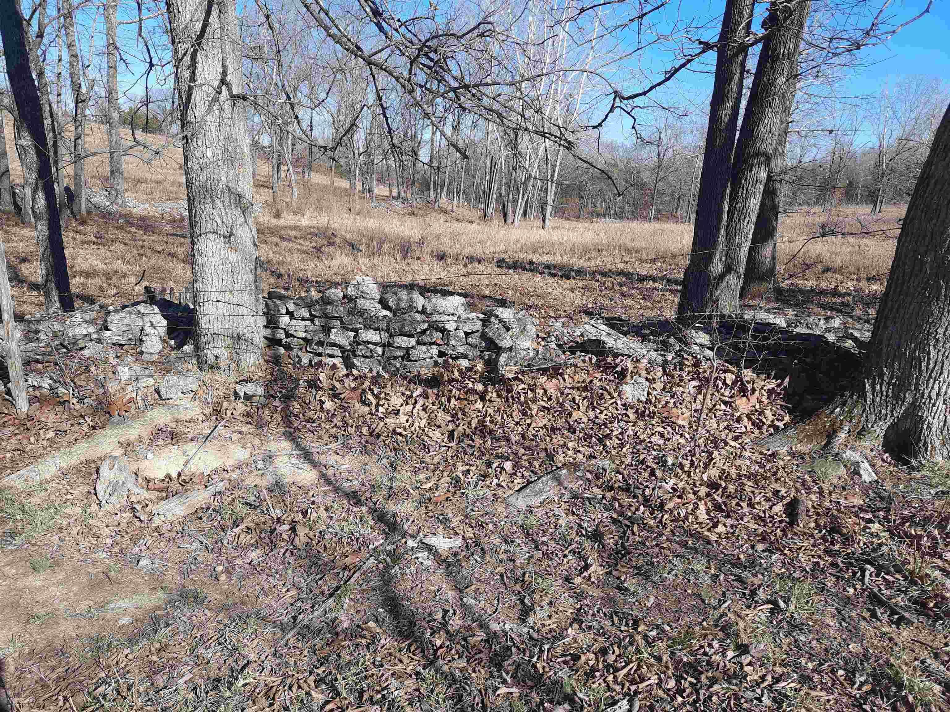 Photo 18 - Vacant Land for sale – 000  Robinson   Mammoth Spring, AR