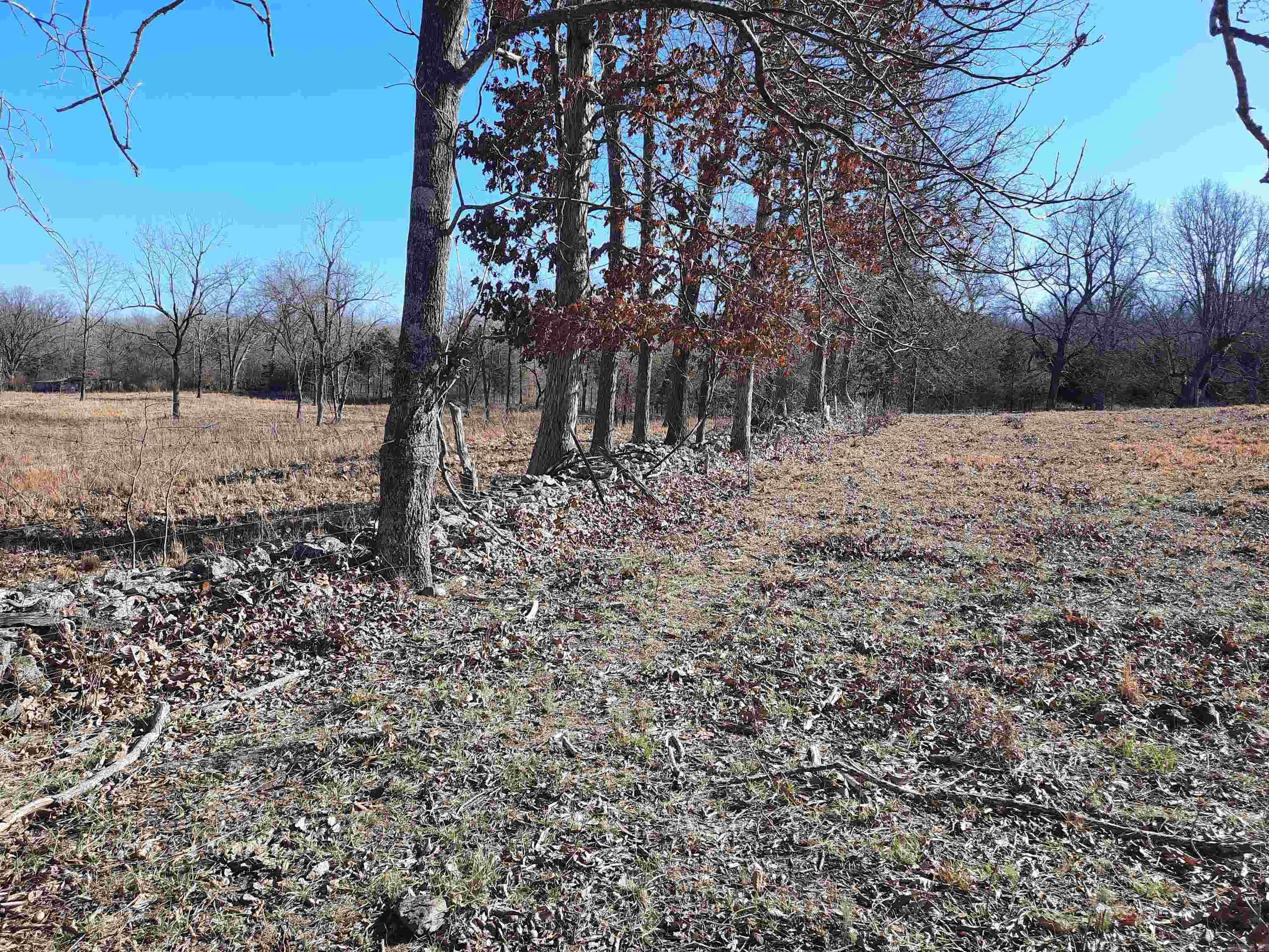 Photo 19 - Vacant Land for sale – 000  Robinson   Mammoth Spring, AR