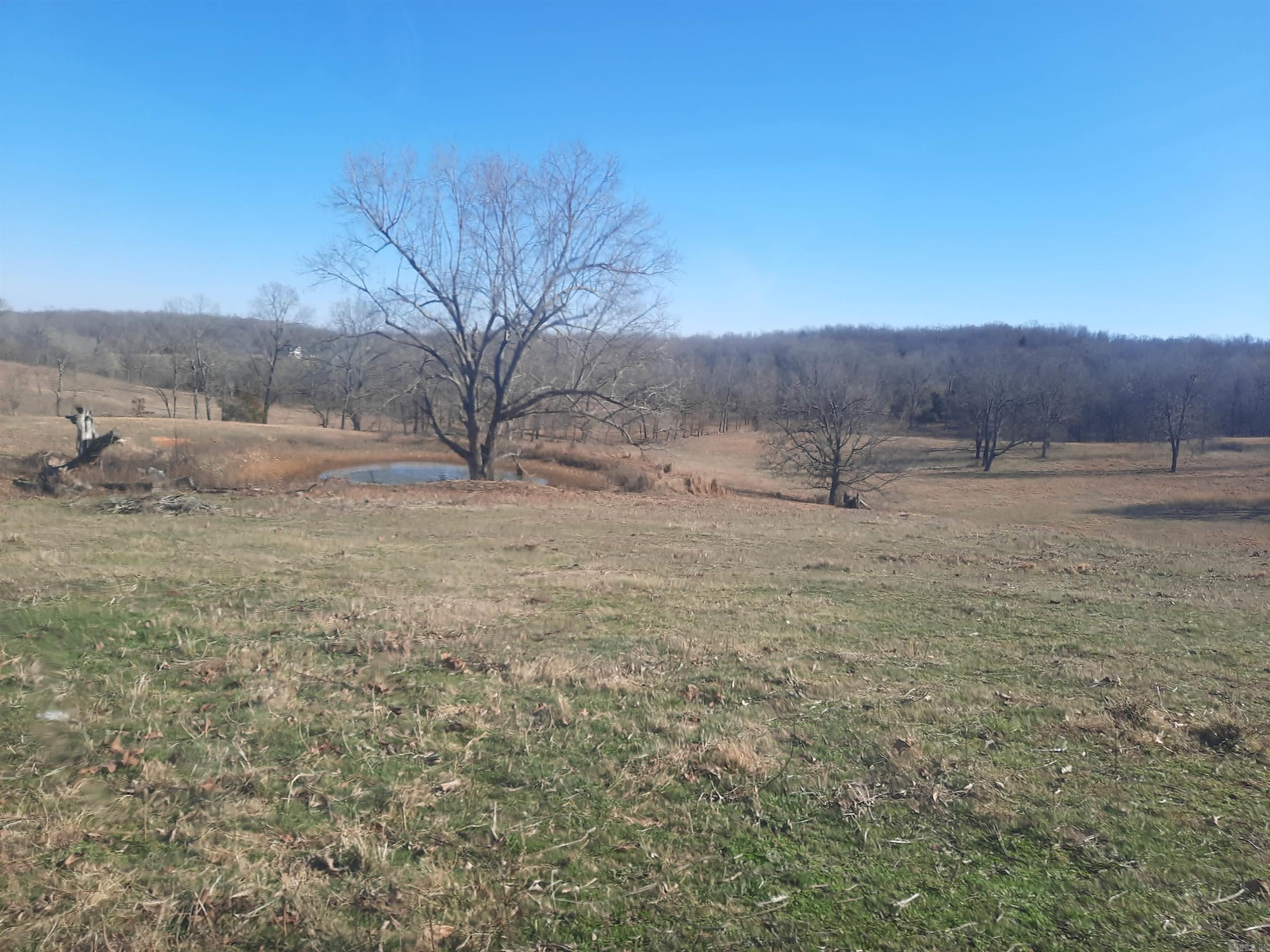 Photo 20 - Vacant Land for sale – 000  Robinson   Mammoth Spring, AR