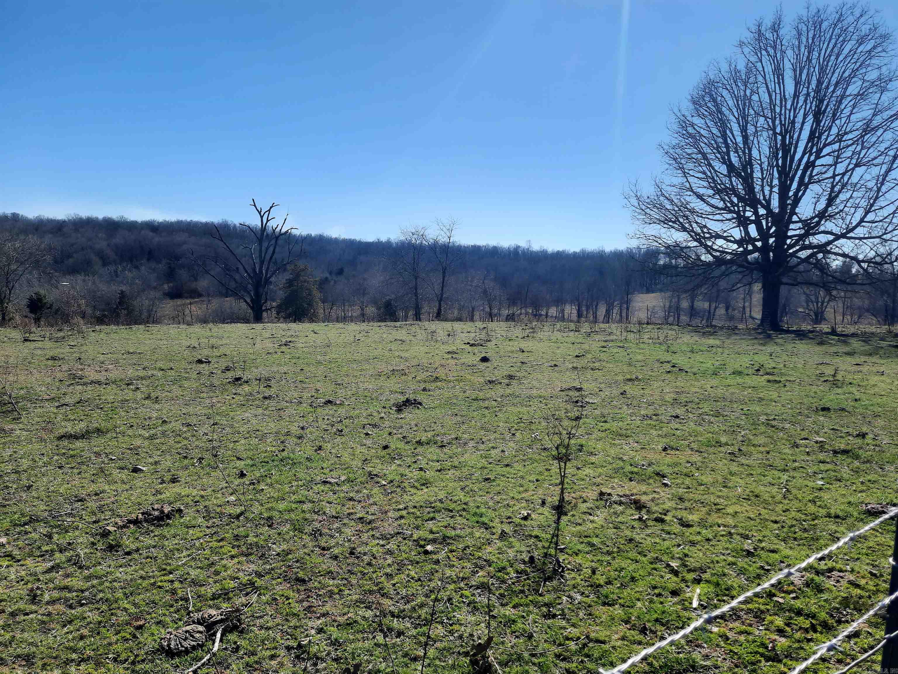 Photo 3 - Vacant Land for sale – 000  Robinson   Mammoth Spring, AR
