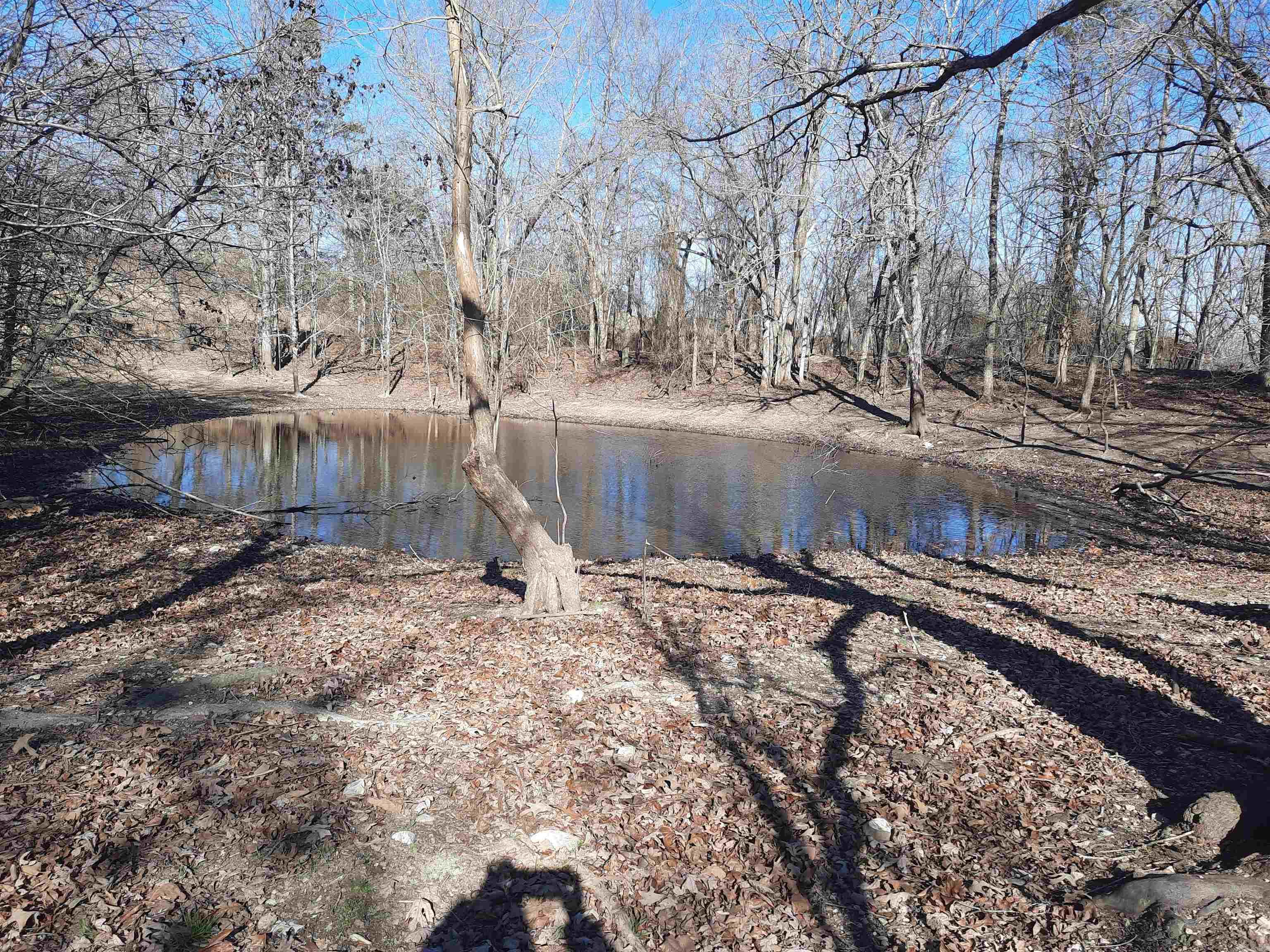 Photo 23 - Vacant Land for sale – 000  Robinson   Mammoth Spring, AR