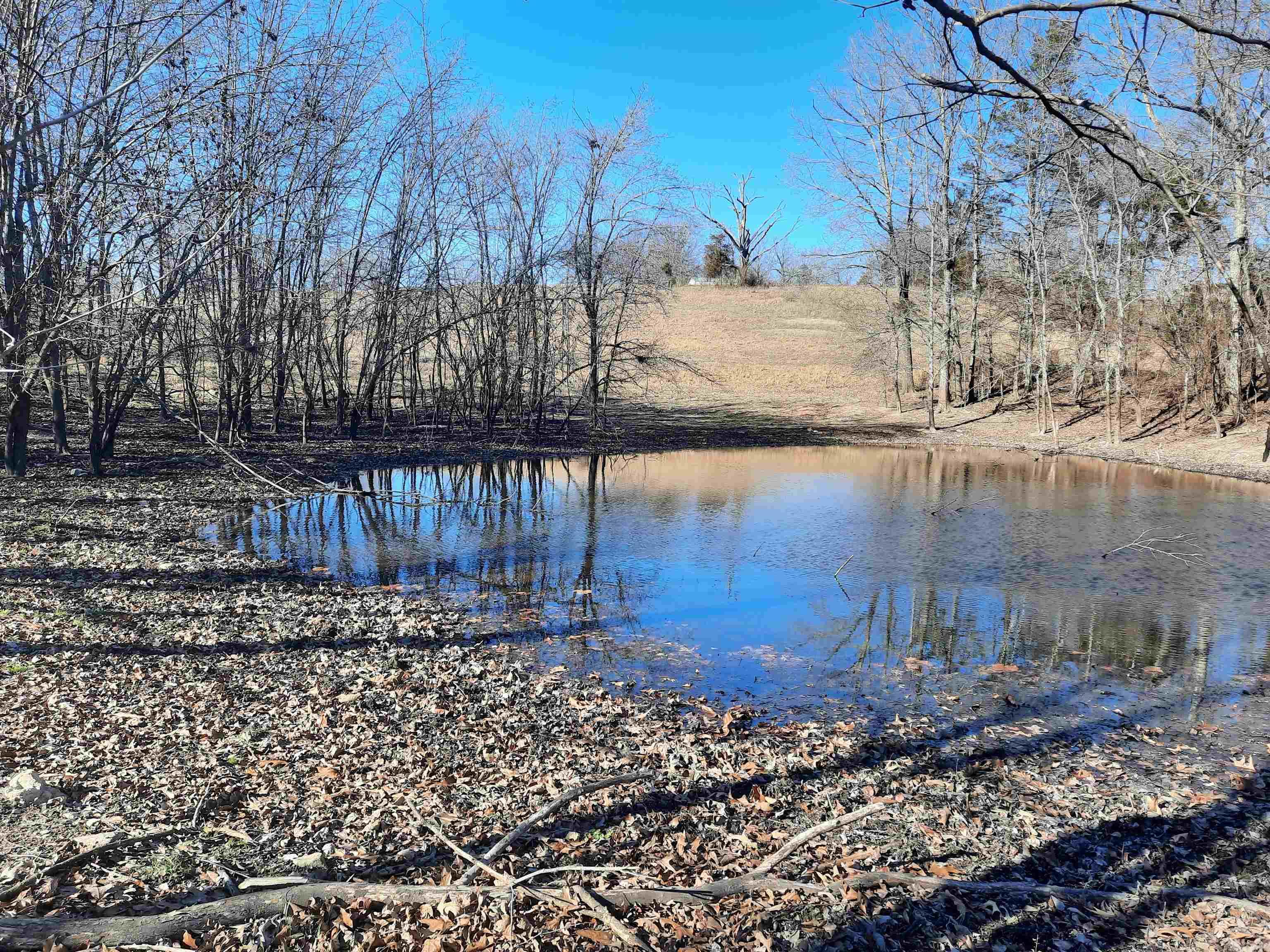 Photo 24 - Vacant Land for sale – 000  Robinson   Mammoth Spring, AR