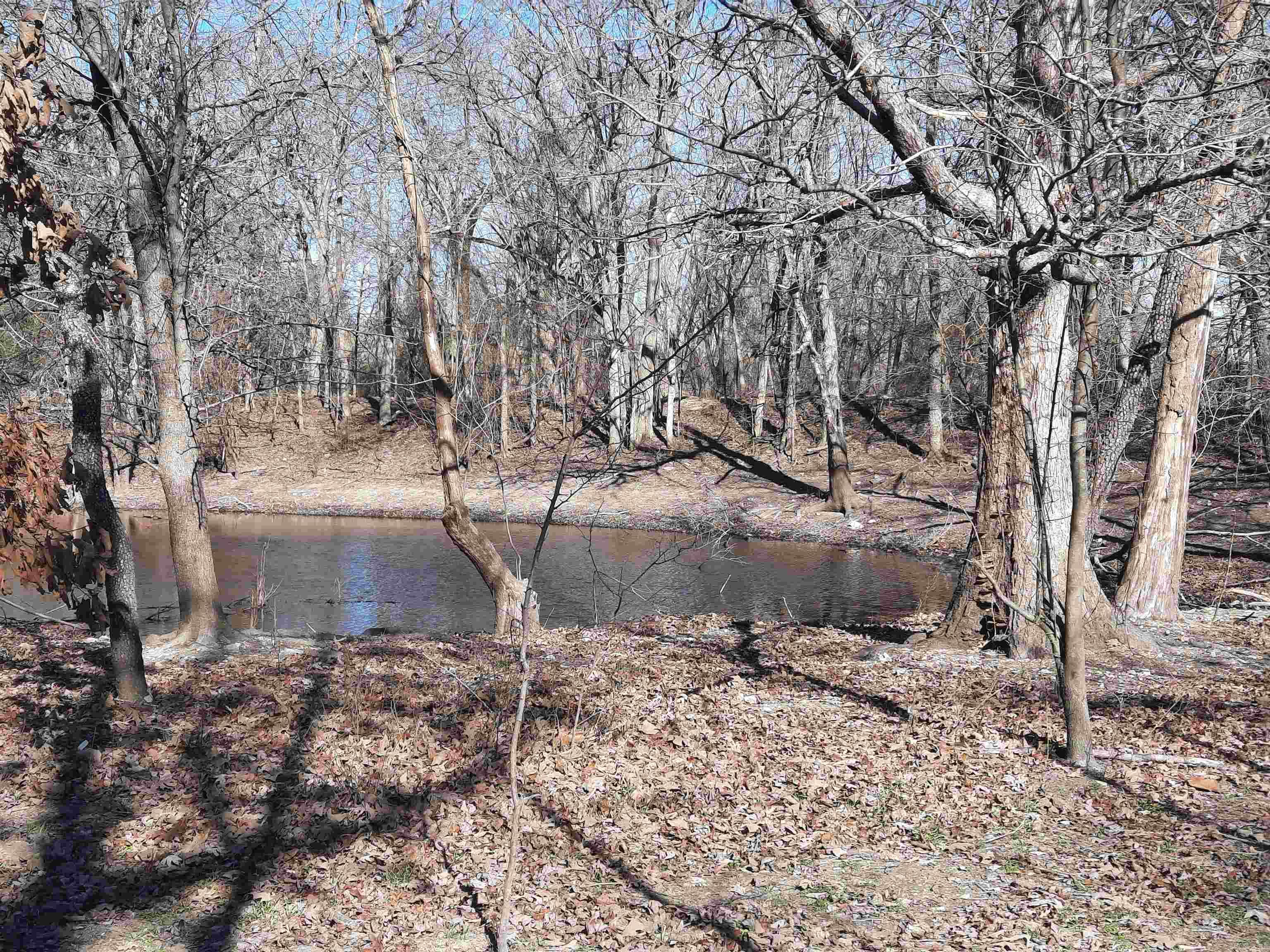 Photo 28 - Vacant Land for sale – 000  Robinson   Mammoth Spring, AR