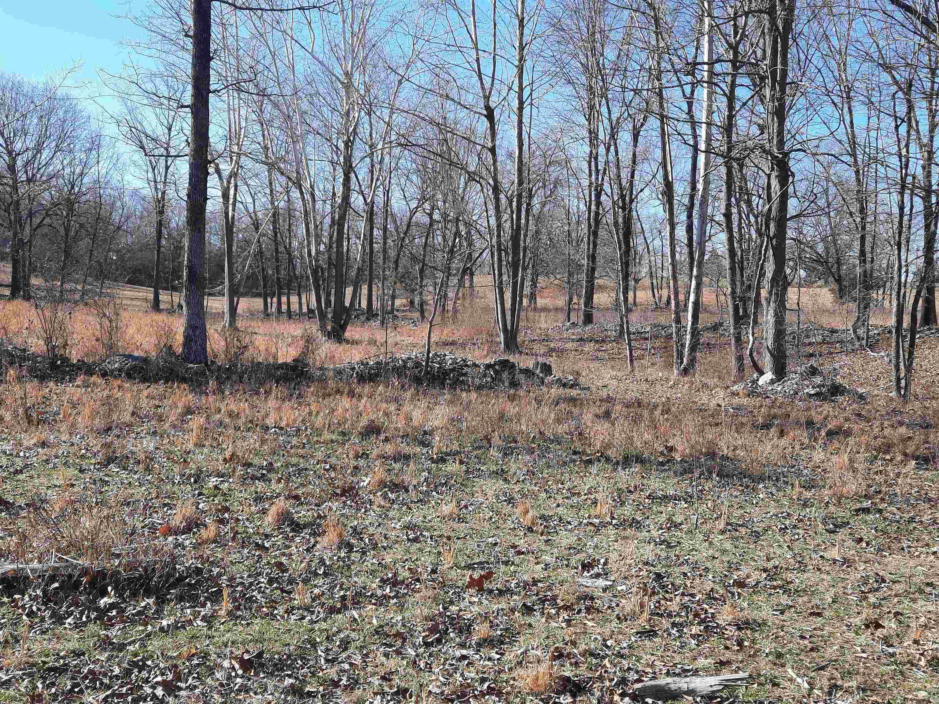 Photo 29 - Vacant Land for sale – 000  Robinson   Mammoth Spring, AR