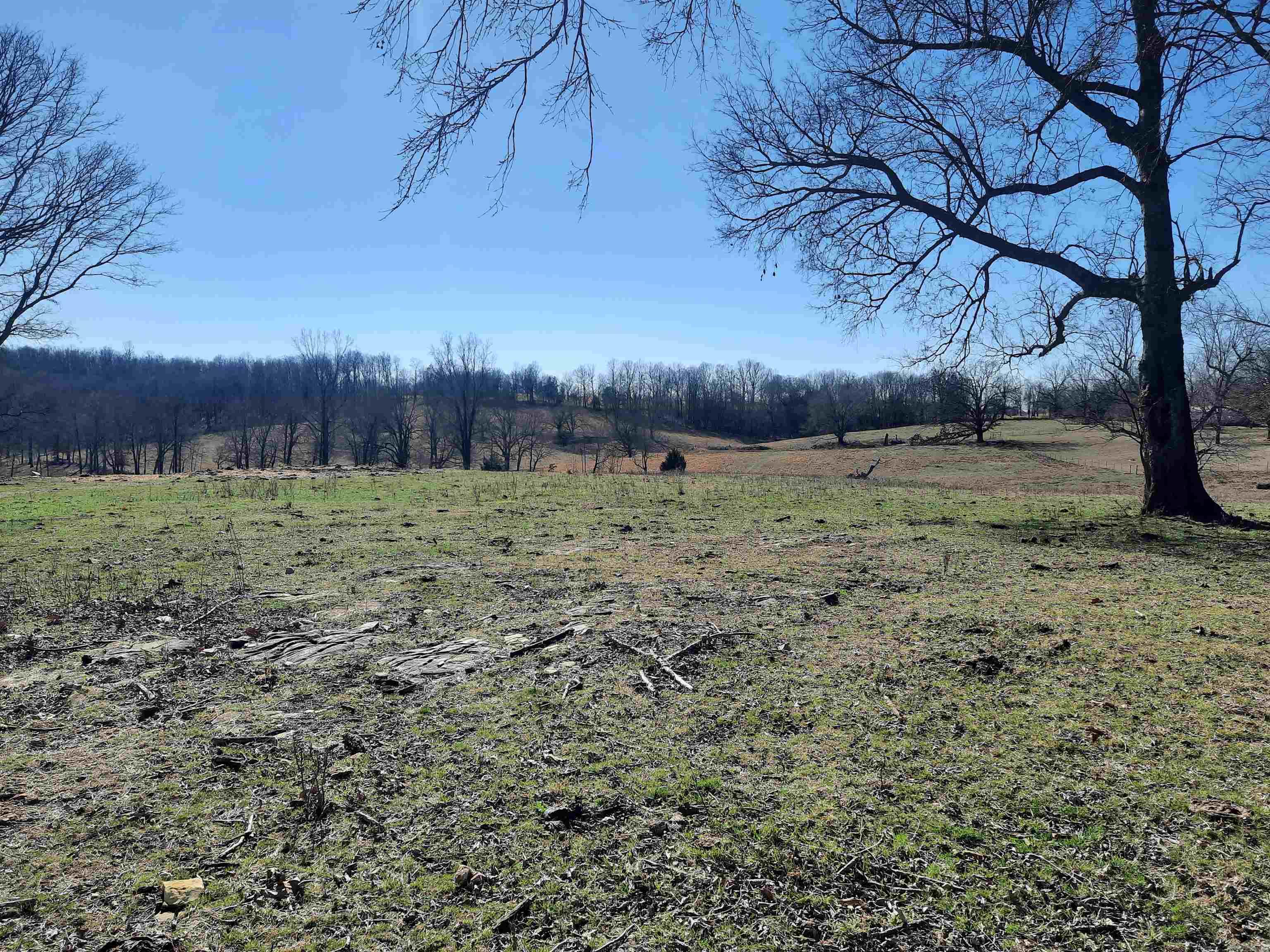 Photo 4 - Vacant Land for sale – 000  Robinson   Mammoth Spring, AR