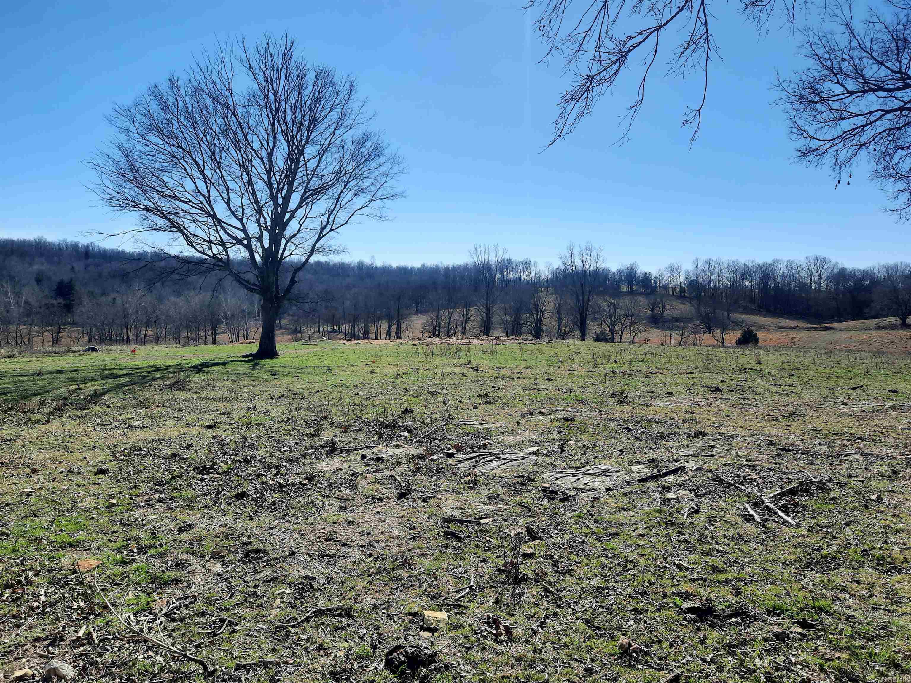 Photo 5 - Vacant Land for sale – 000  Robinson   Mammoth Spring, AR