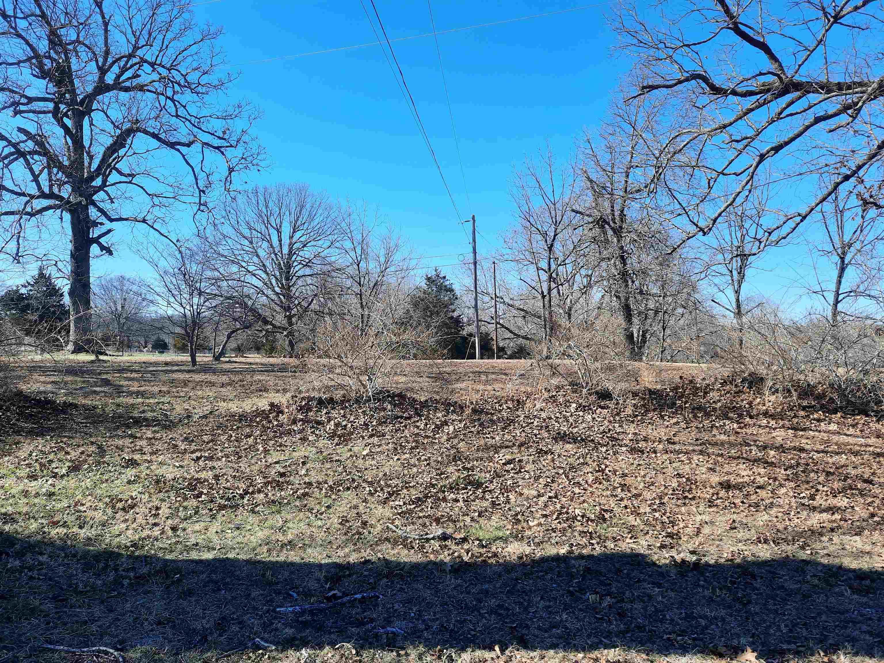 Photo 6 - Vacant Land for sale – 000  Robinson   Mammoth Spring, AR