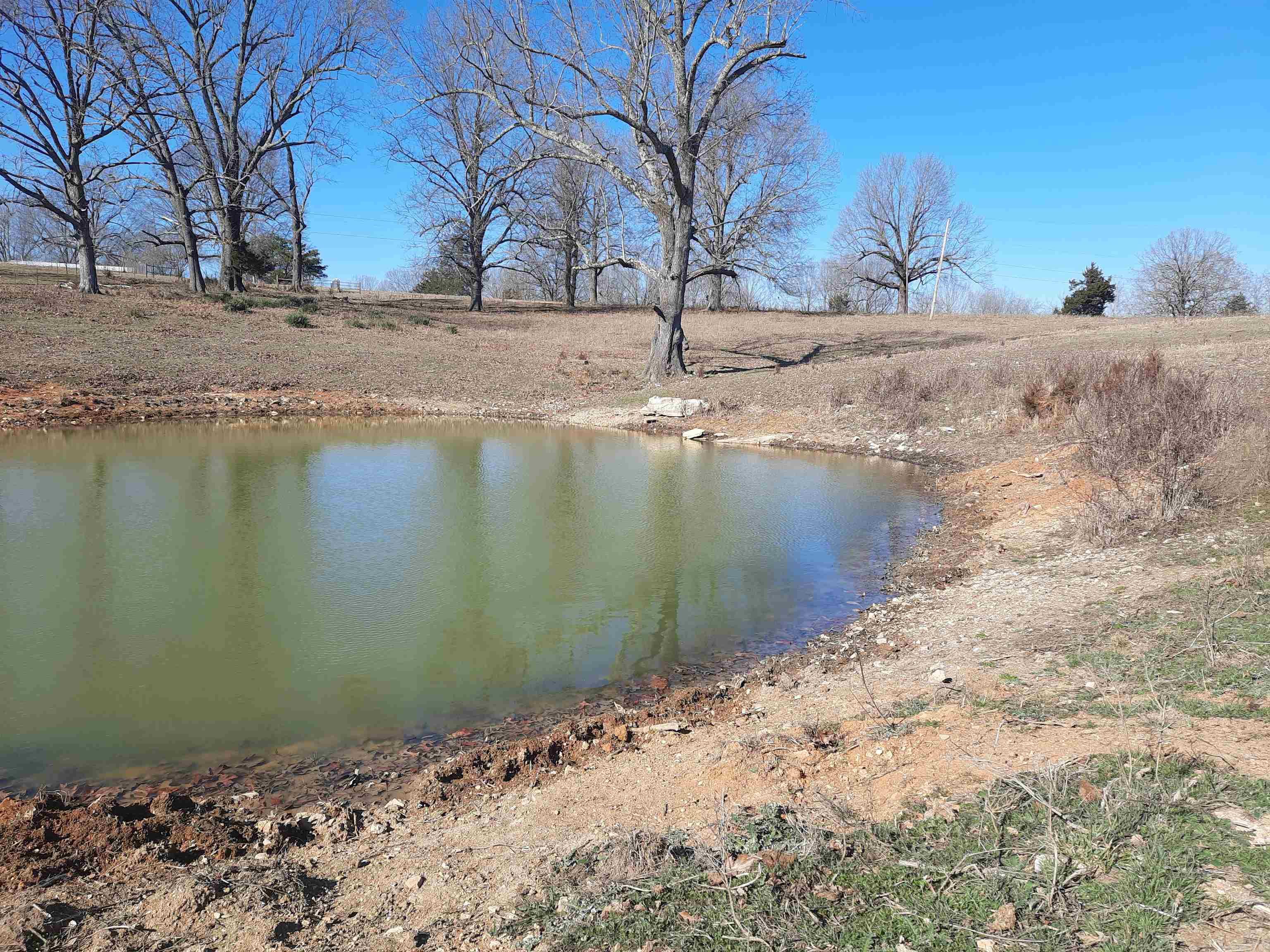 Photo 7 - Vacant Land for sale – 000  Robinson   Mammoth Spring, AR