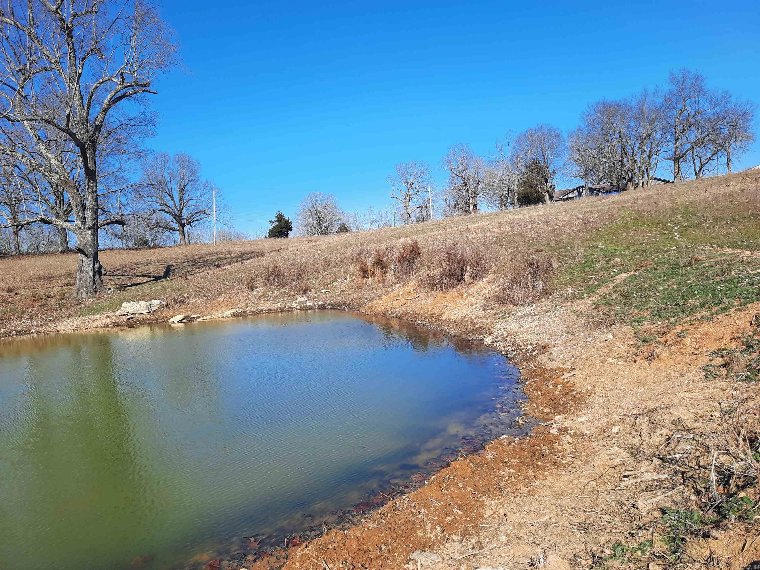 Photo 8 - Vacant Land for sale – 000  Robinson   Mammoth Spring, AR