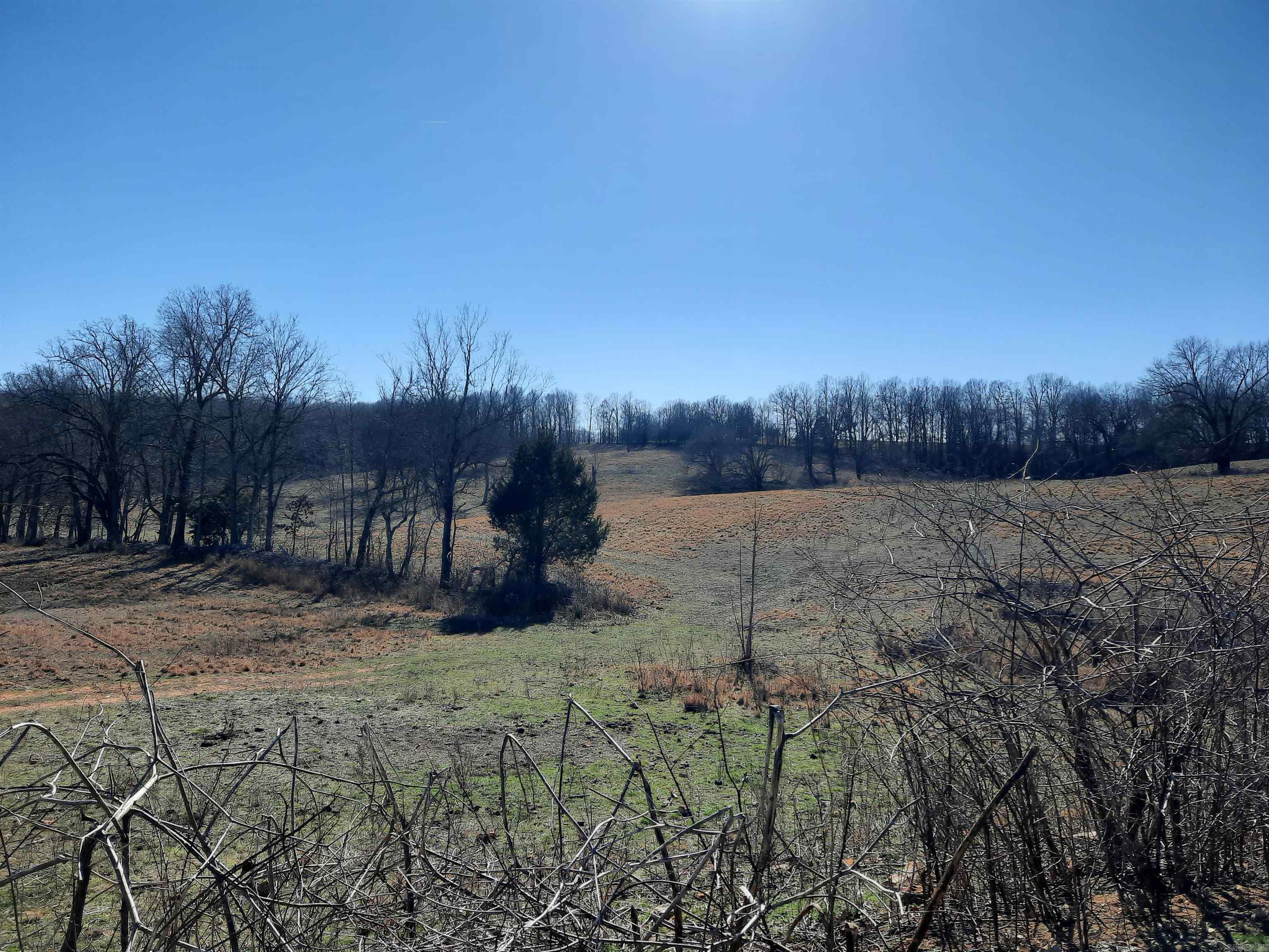 Photo 9 - Vacant Land for sale – 000  Robinson   Mammoth Spring, AR