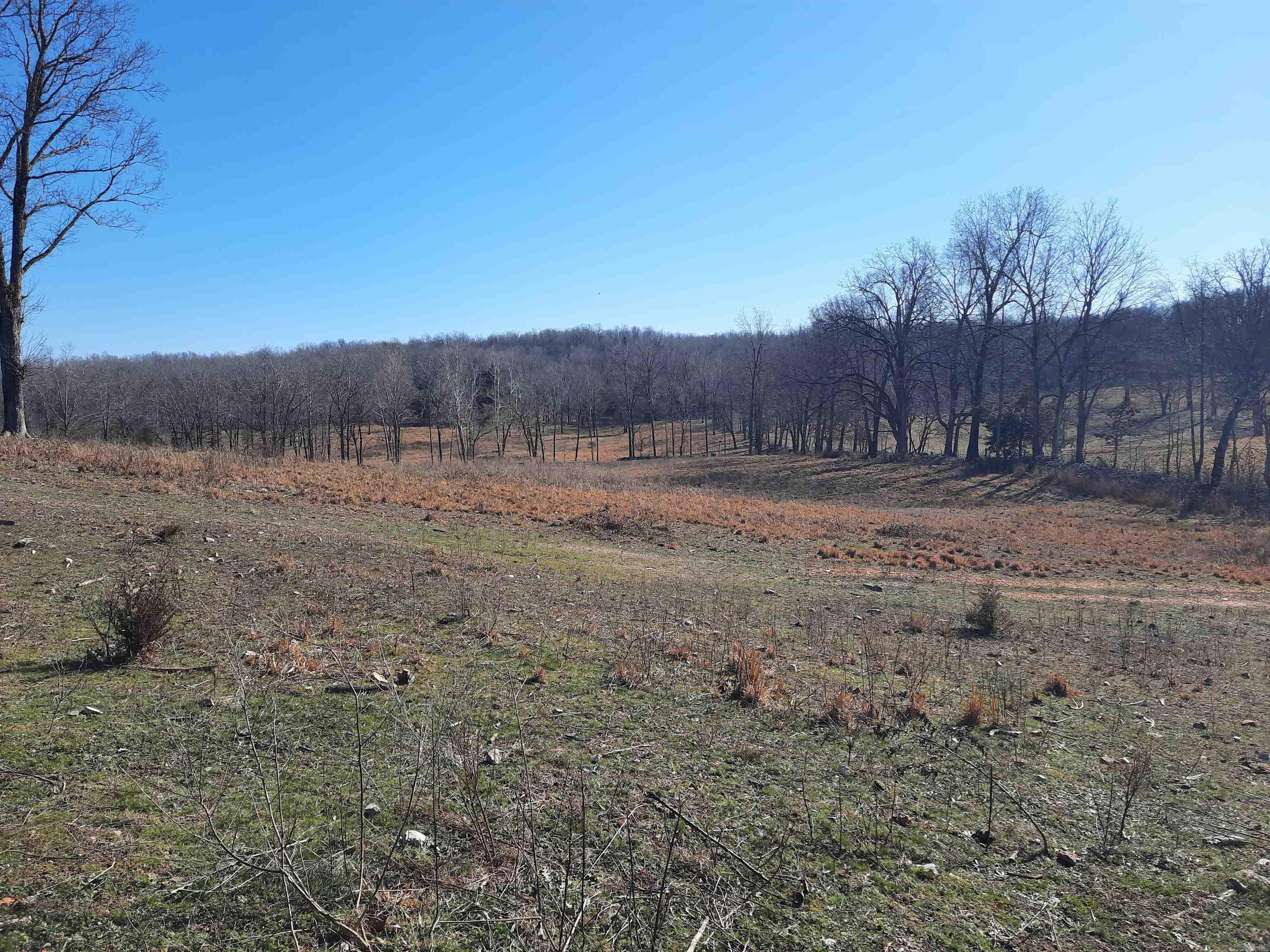 Photo 10 - Vacant Land for sale – 000  Robinson   Mammoth Spring, AR