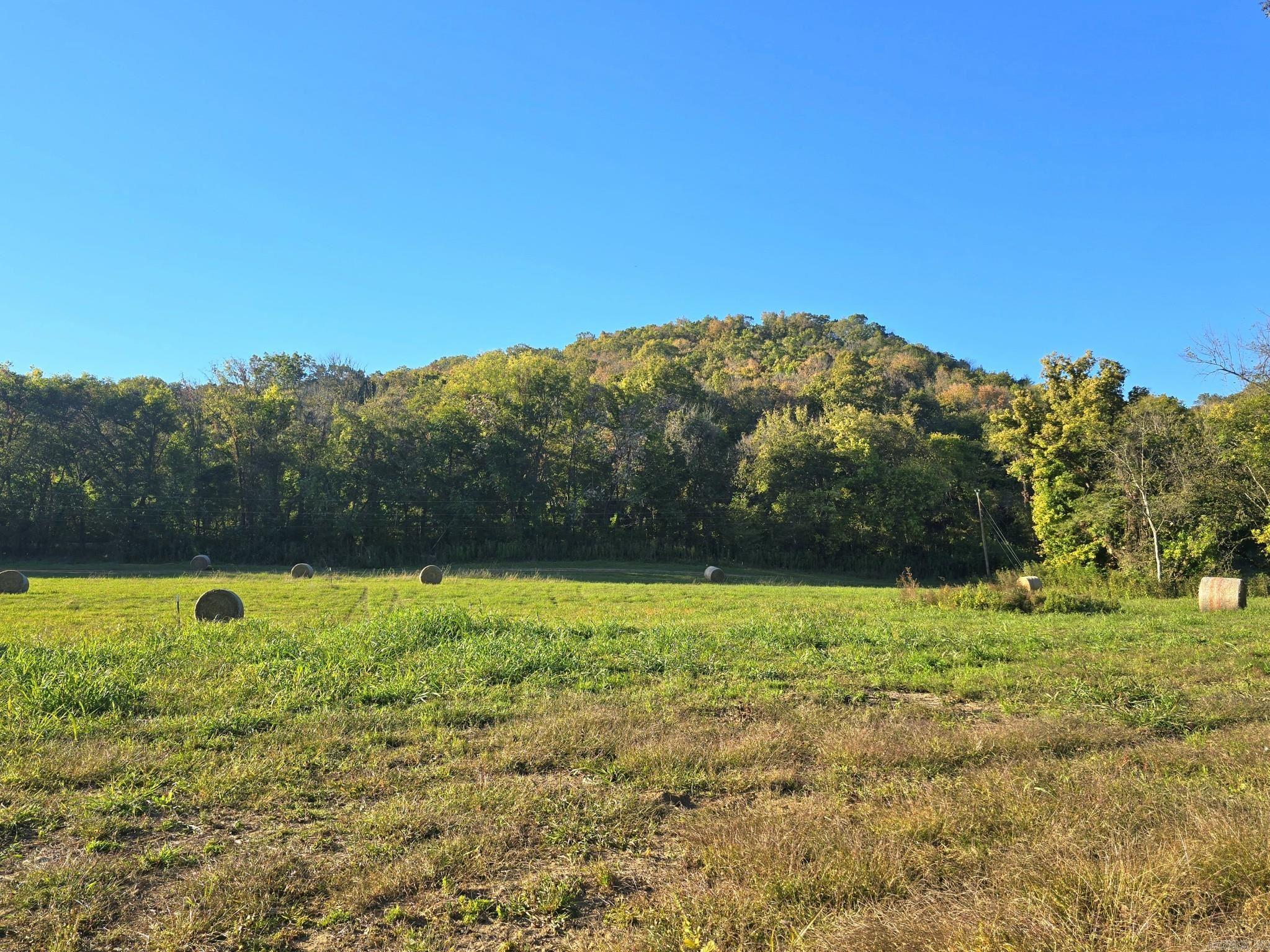 Photo 3 - Vacant Land for sale – TBD W School House Hollow Road   Melbourne, AR