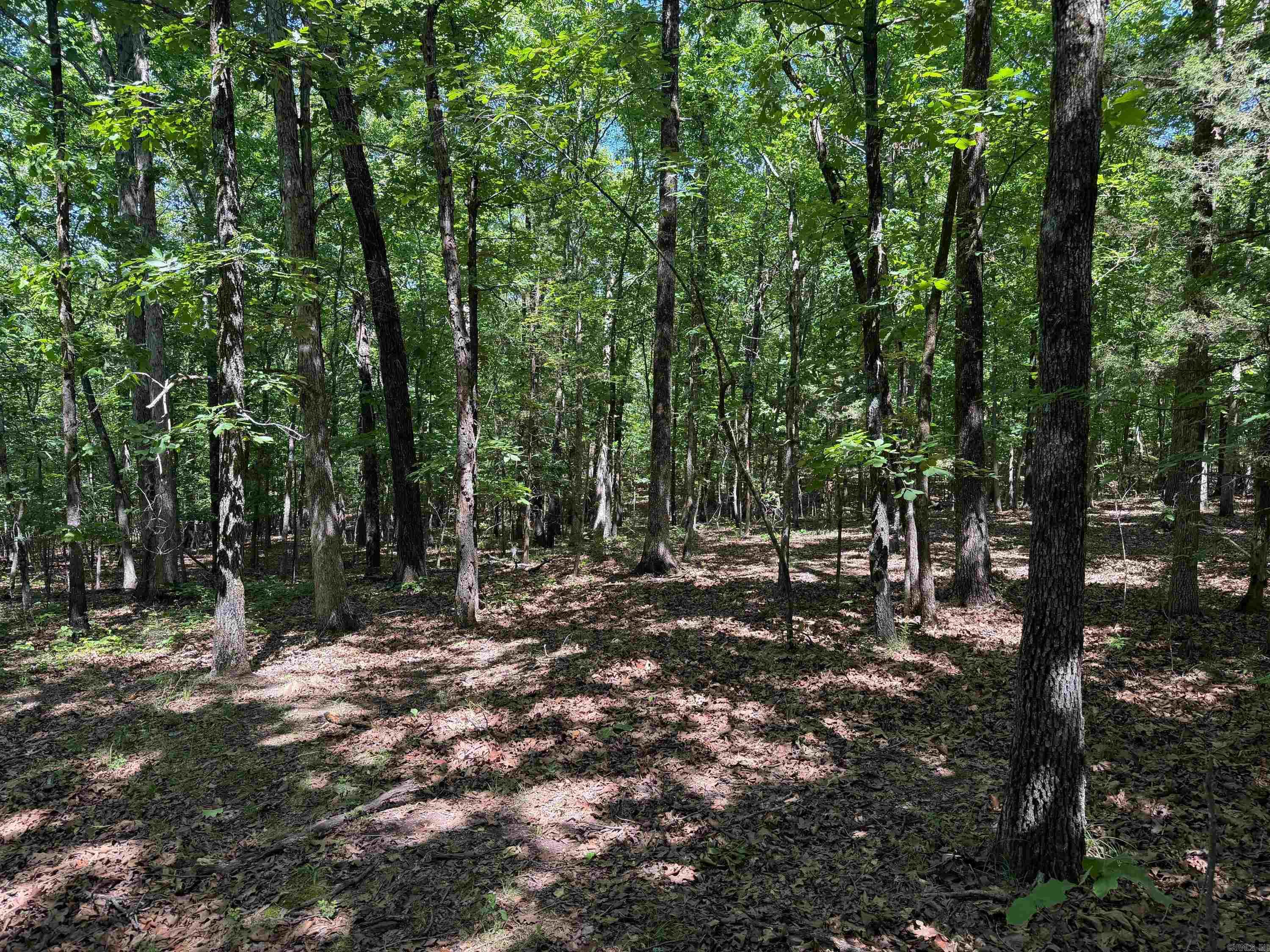Photo 2 - Vacant Land for sale –   Overlook Dr   Bradford, AR
