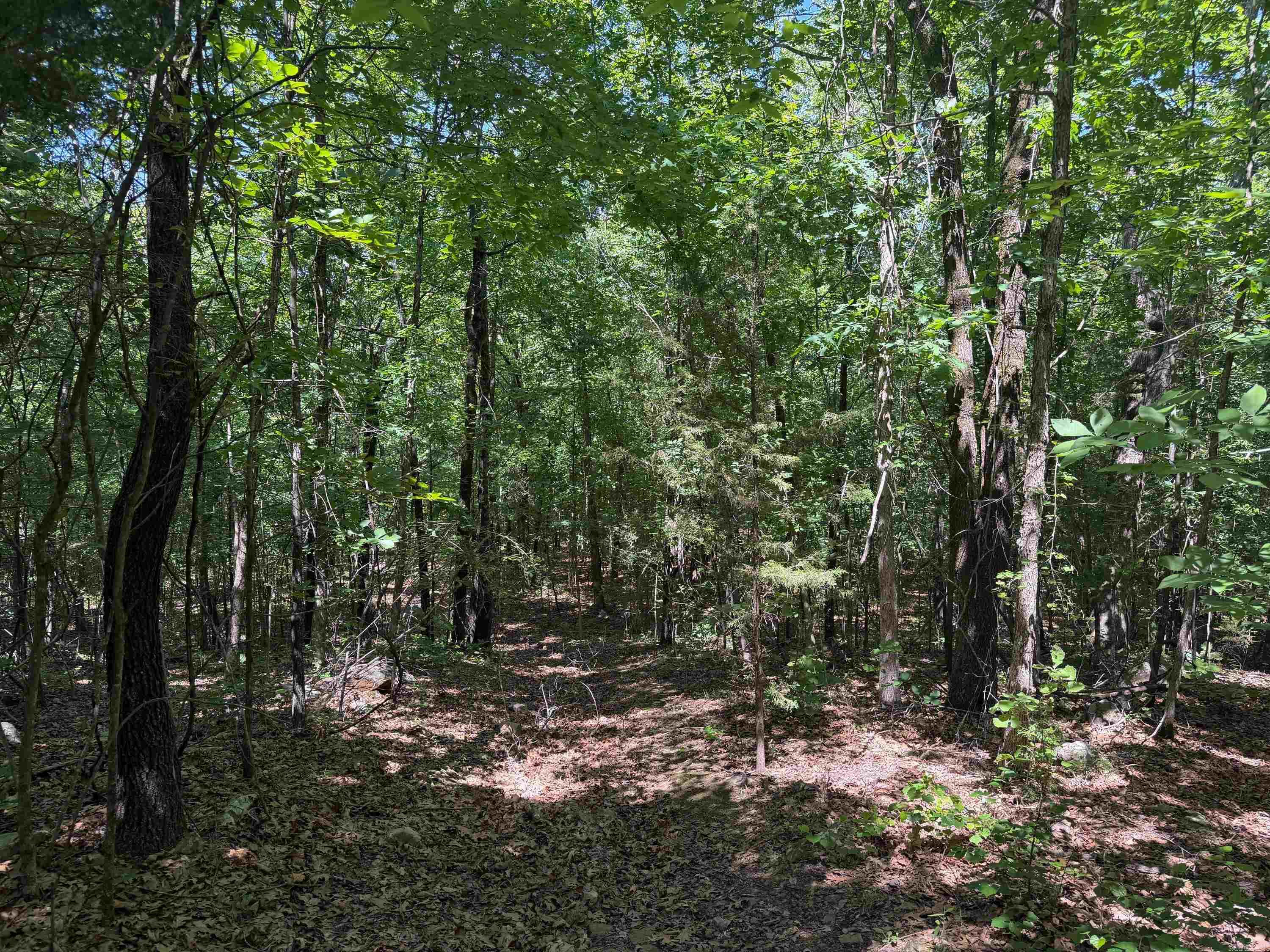 Photo 11 - Vacant Land for sale –   Overlook Dr   Bradford, AR