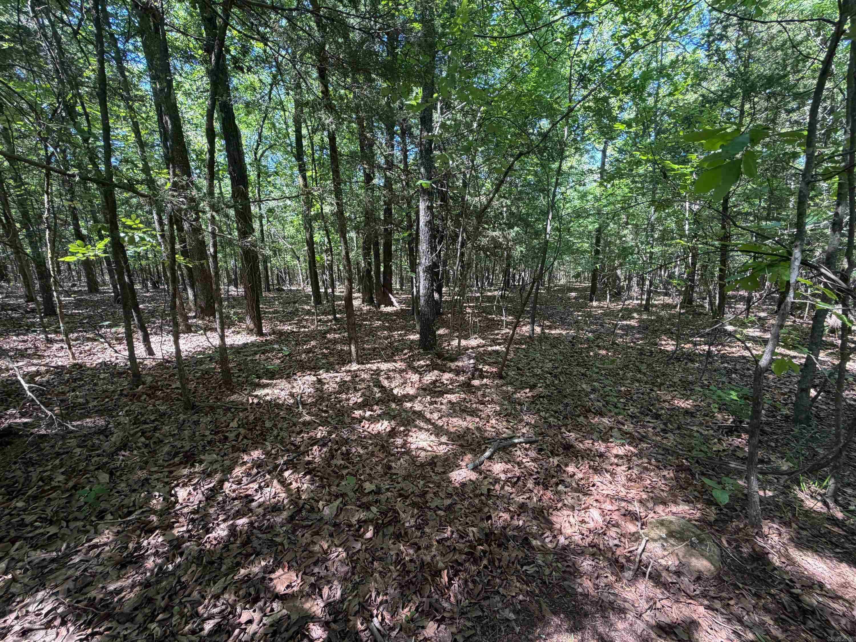 Photo 12 - Vacant Land for sale –   Overlook Dr   Bradford, AR