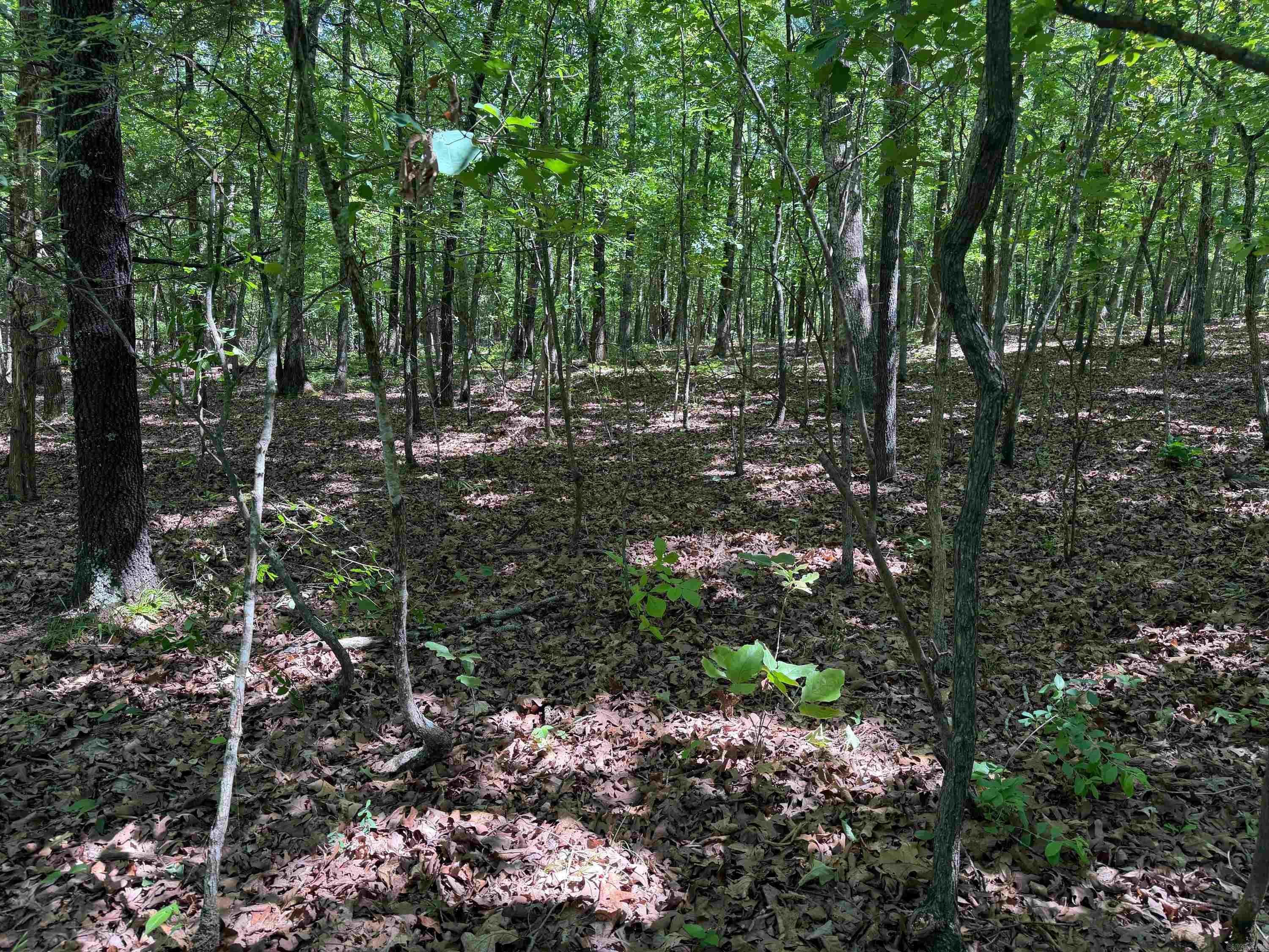Photo 13 - Vacant Land for sale –   Overlook Dr   Bradford, AR
