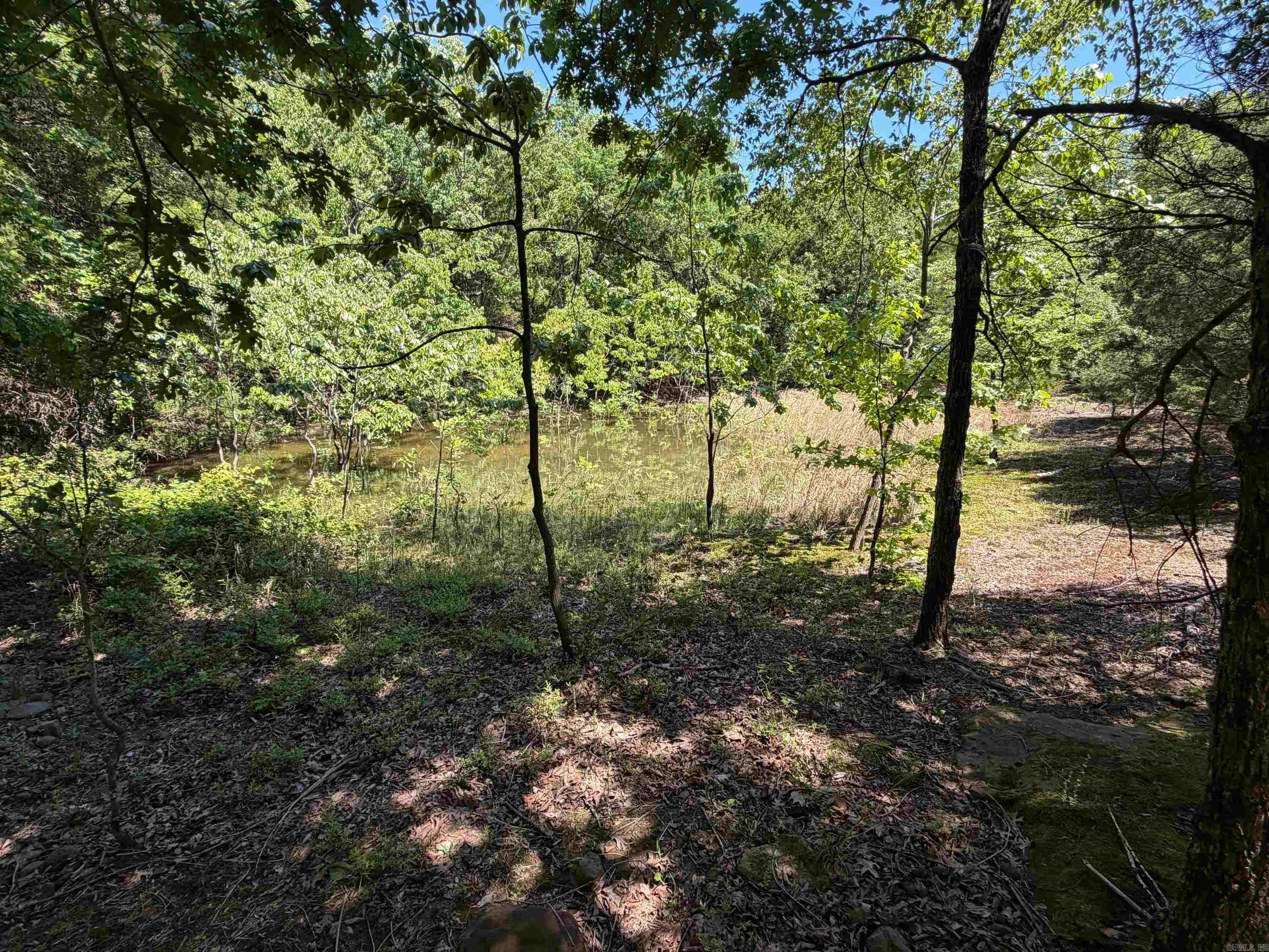 Photo 5 - Vacant Land for sale –   Overlook Dr   Bradford, AR