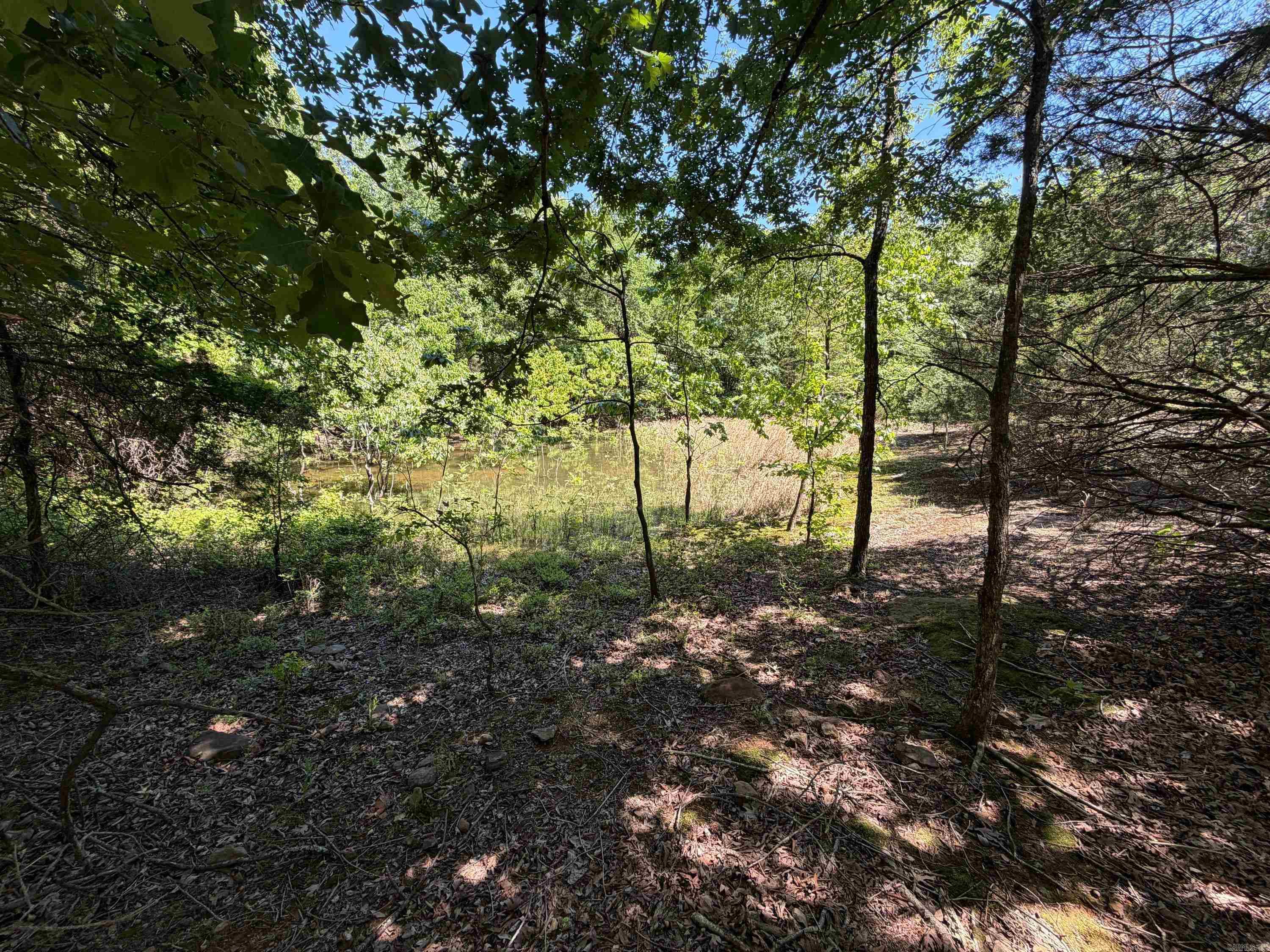Photo 6 - Vacant Land for sale –   Overlook Dr   Bradford, AR