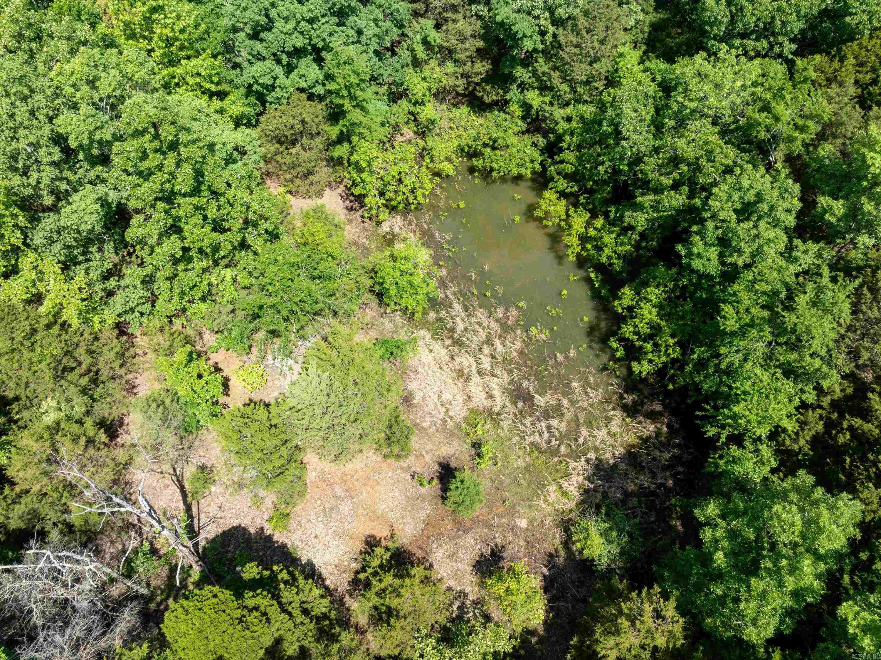 Photo 7 - Vacant Land for sale –   Overlook Dr   Bradford, AR