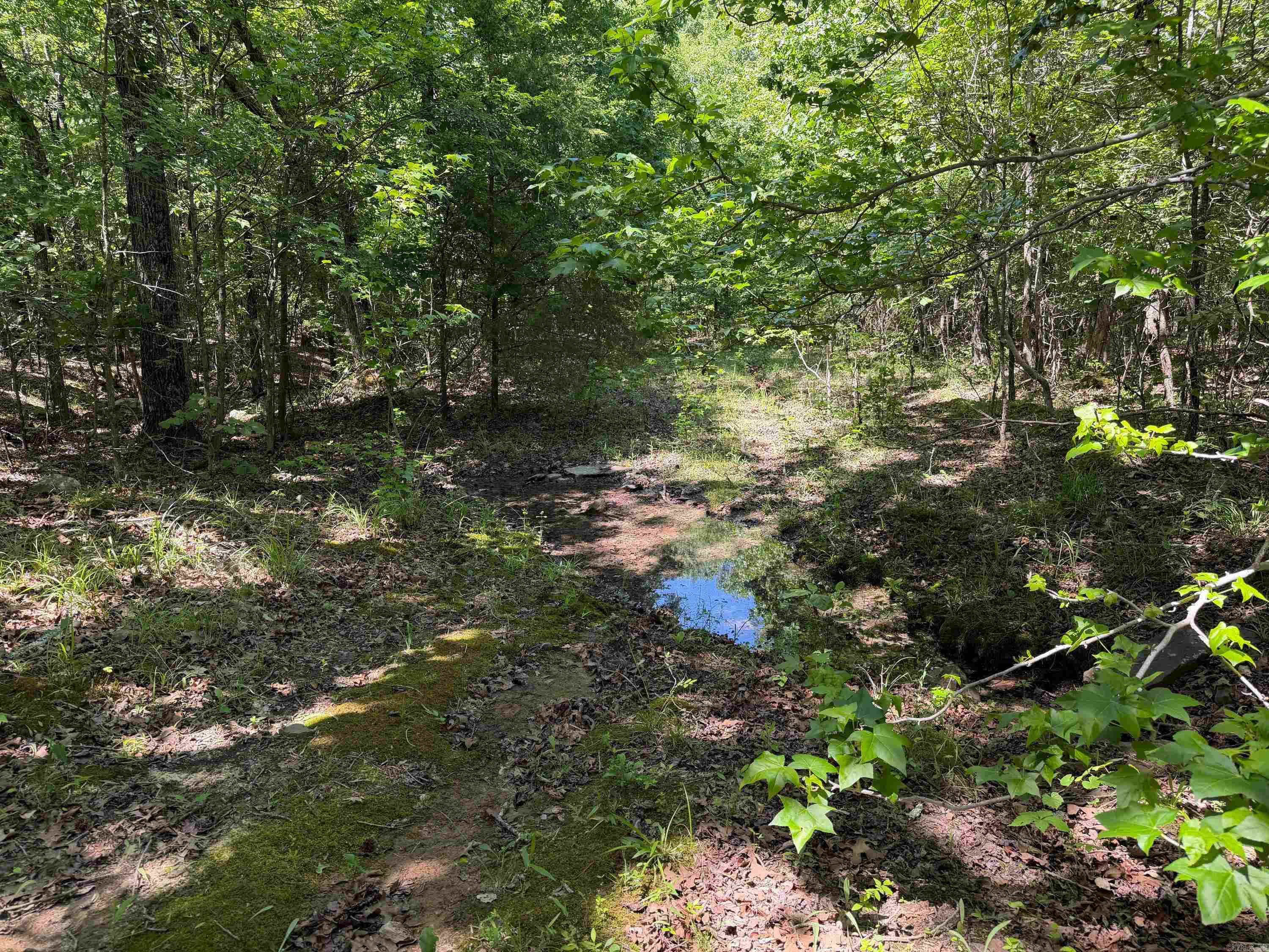 Photo 10 - Vacant Land for sale –   Overlook Dr   Bradford, AR