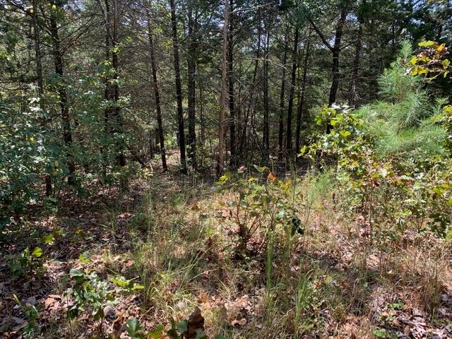 Photo 4 - Vacant Land for sale – TBD  San Juan   Cherokee Village, AR