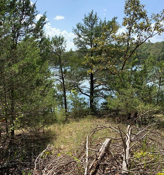Photo 5 - Vacant Land for sale – TBD  San Juan   Cherokee Village, AR