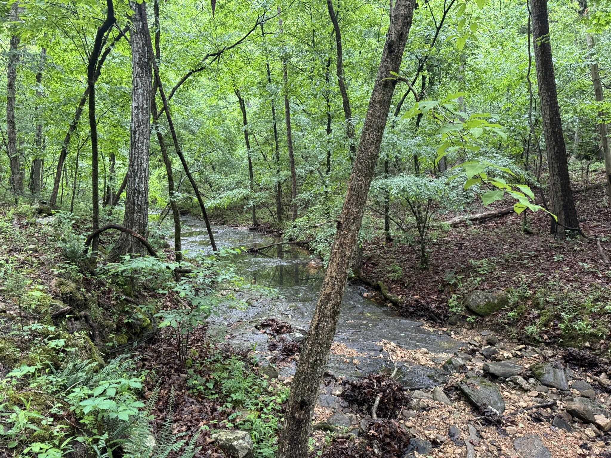 Vacant Land for sale – 160A S AR 9 Hwy   Melbourne, AR