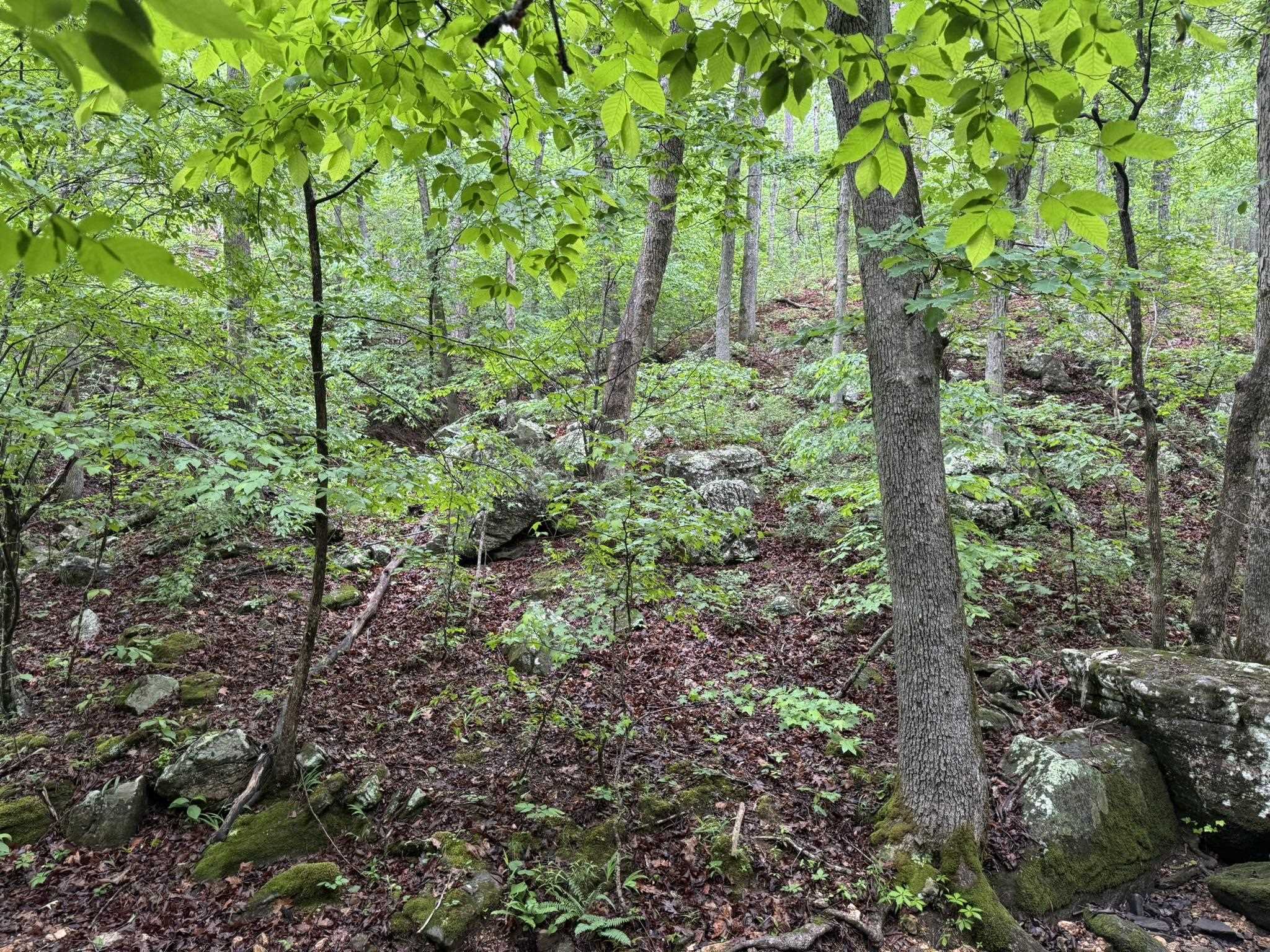 Photo 11 - Vacant Land for sale – 160A S AR 9 Hwy   Melbourne, AR