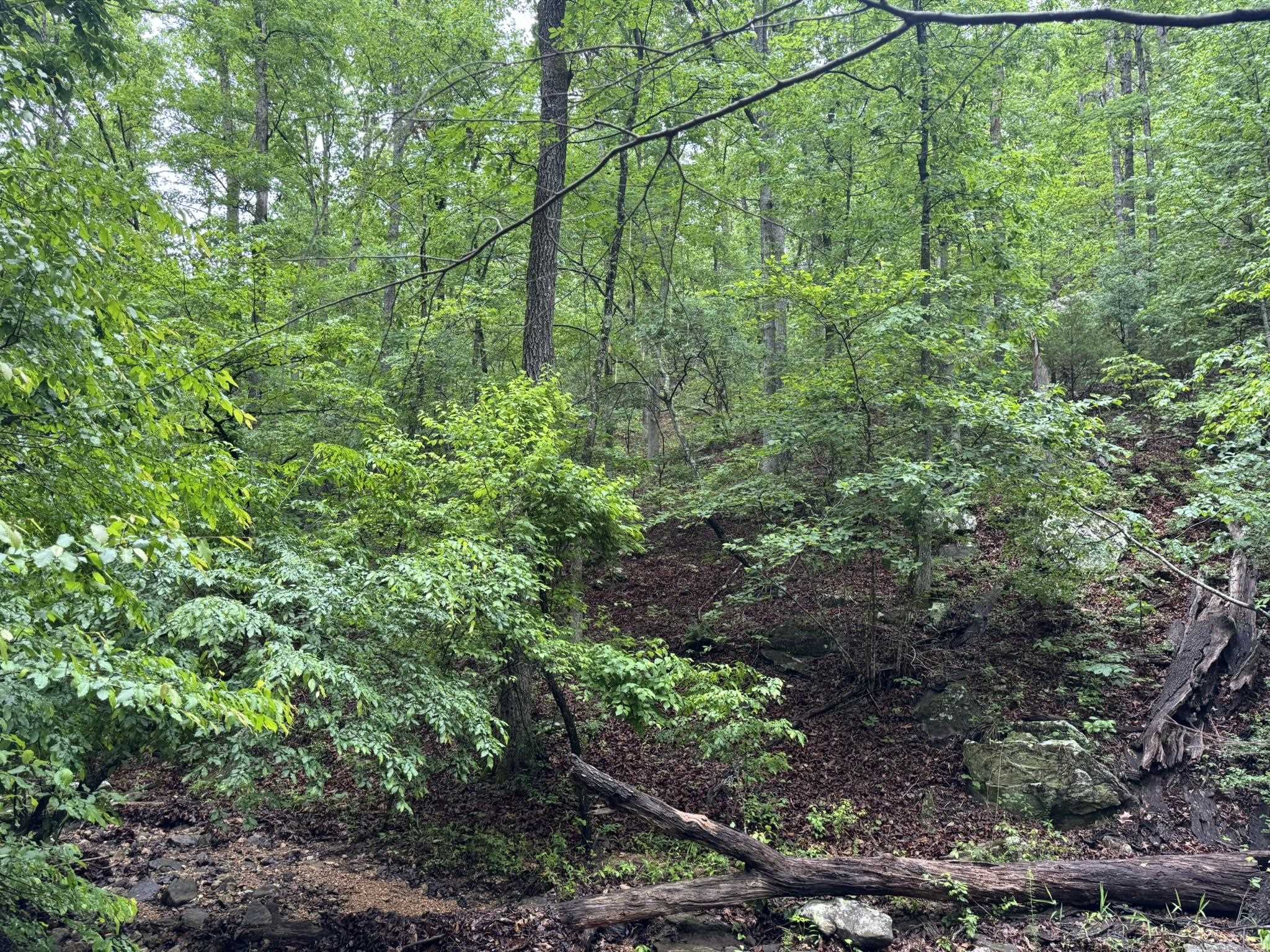 Photo 12 - Vacant Land for sale – 160A S AR 9 Hwy   Melbourne, AR
