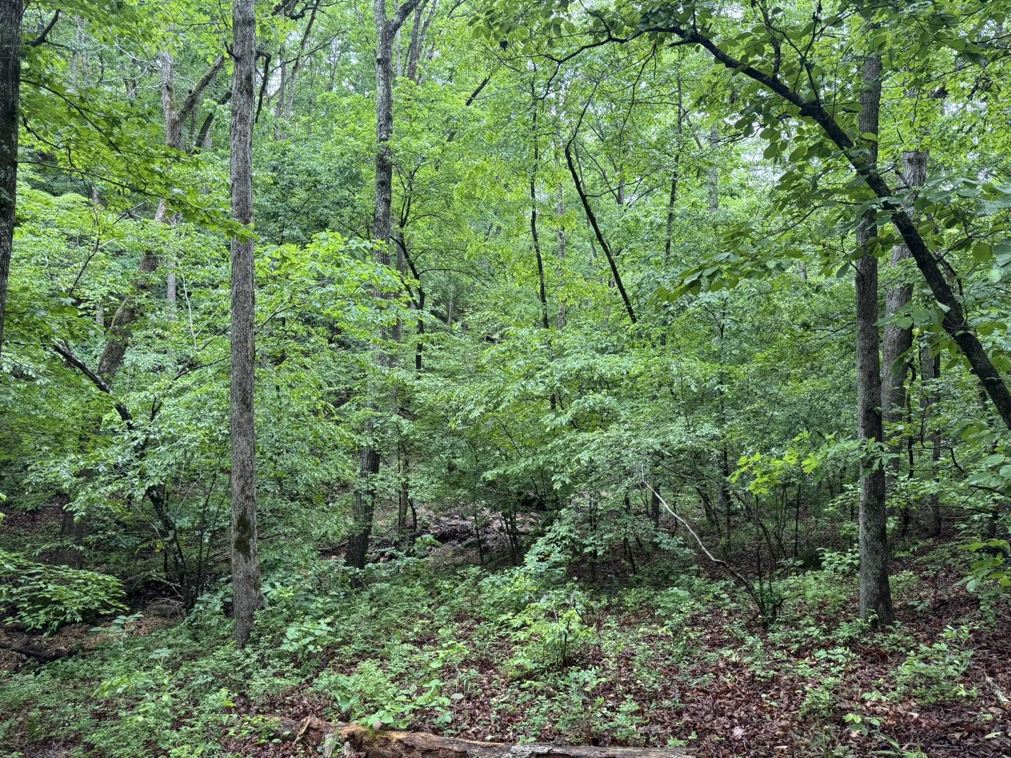 Photo 14 - Vacant Land for sale – 160A S AR 9 Hwy   Melbourne, AR
